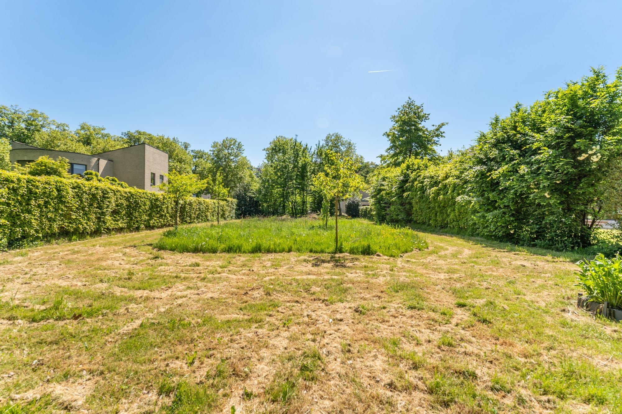 Knap perceel van 12are 80ca geschikt voor OB net buiten de grote ring van Hasselt! foto 6