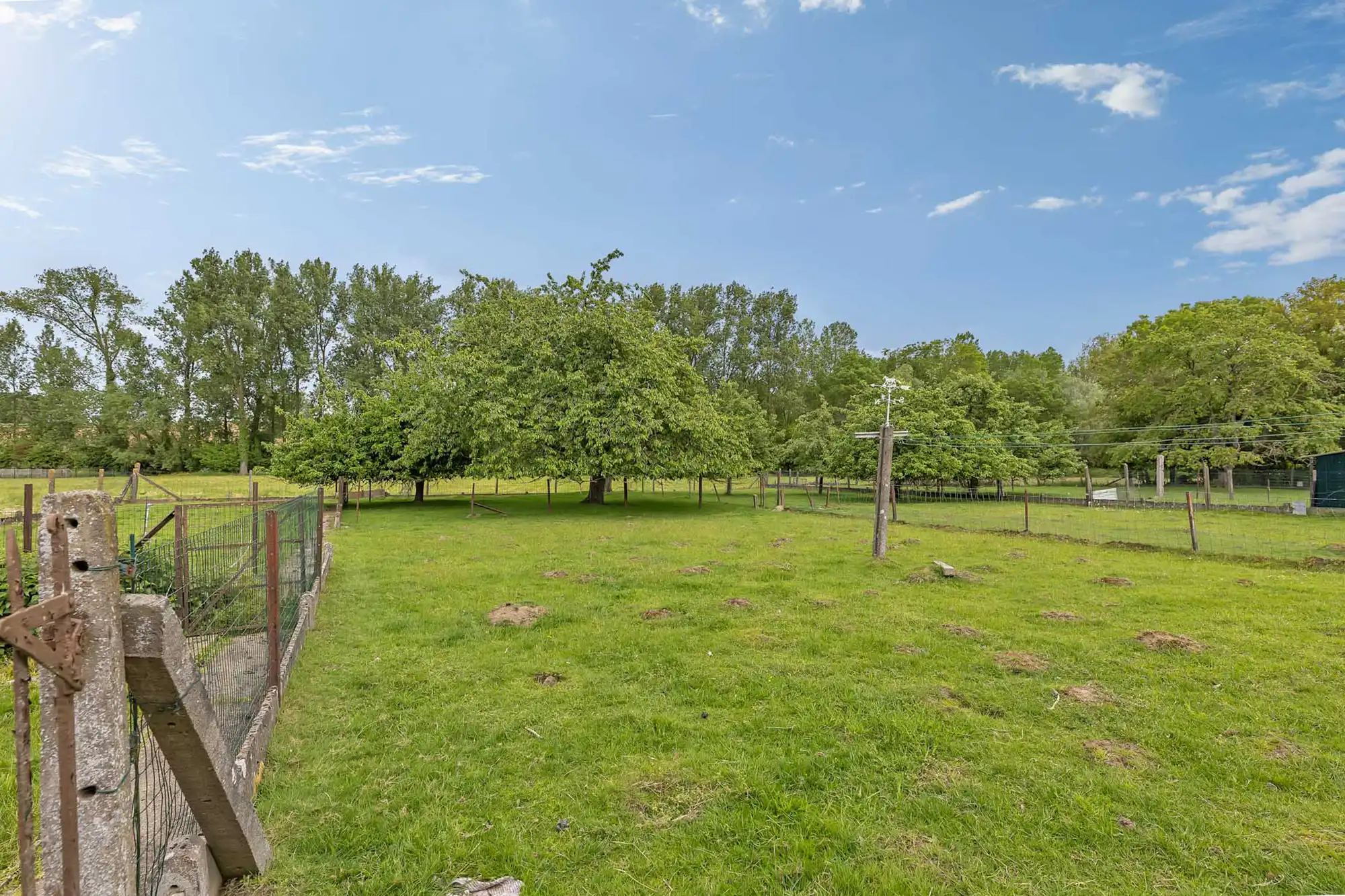 Woning op landelijke ligging met opslagplaats foto 23