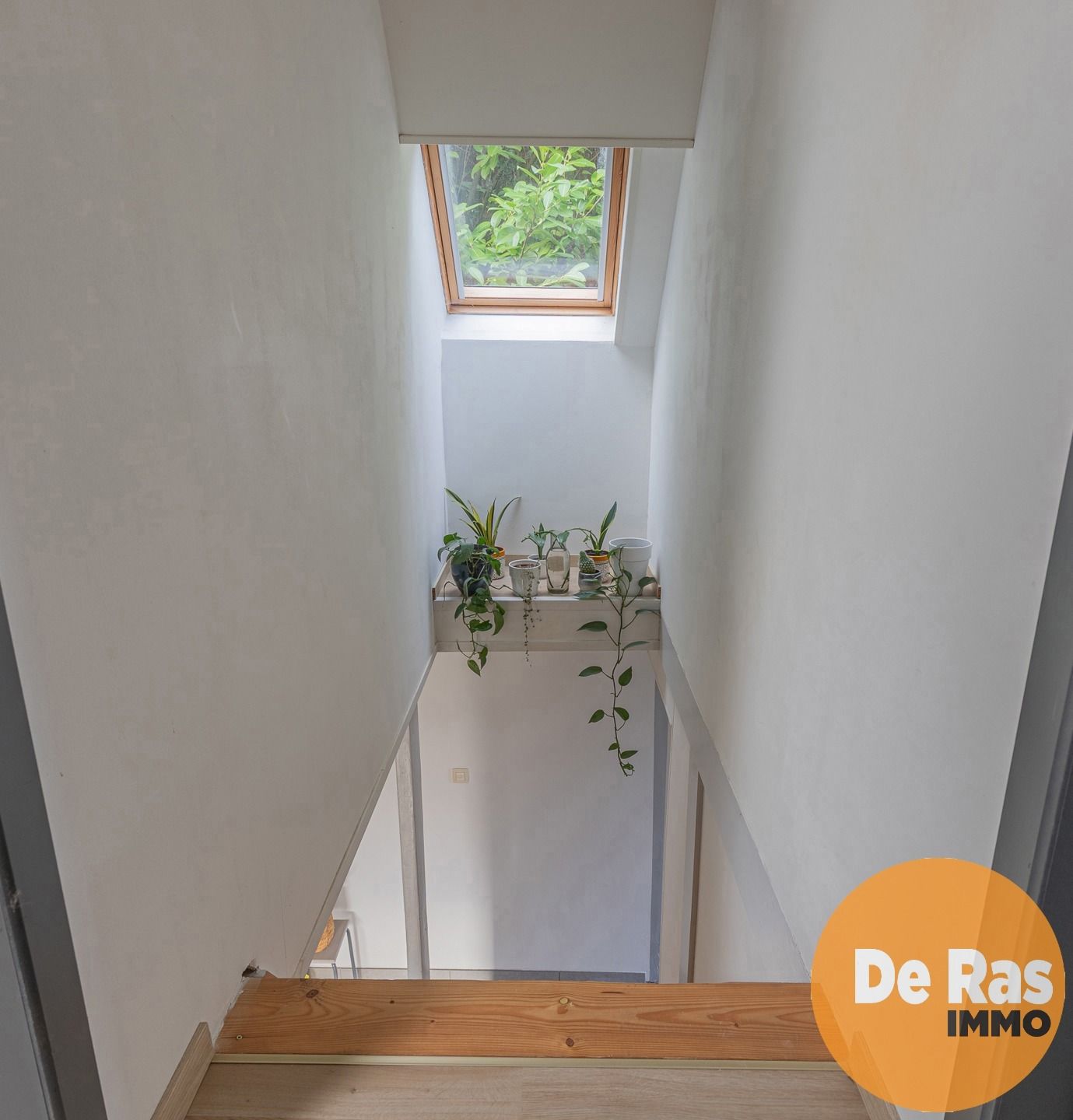 OORDEGEM - Instapklare woning met 2 kamers op leuke locatie foto 15