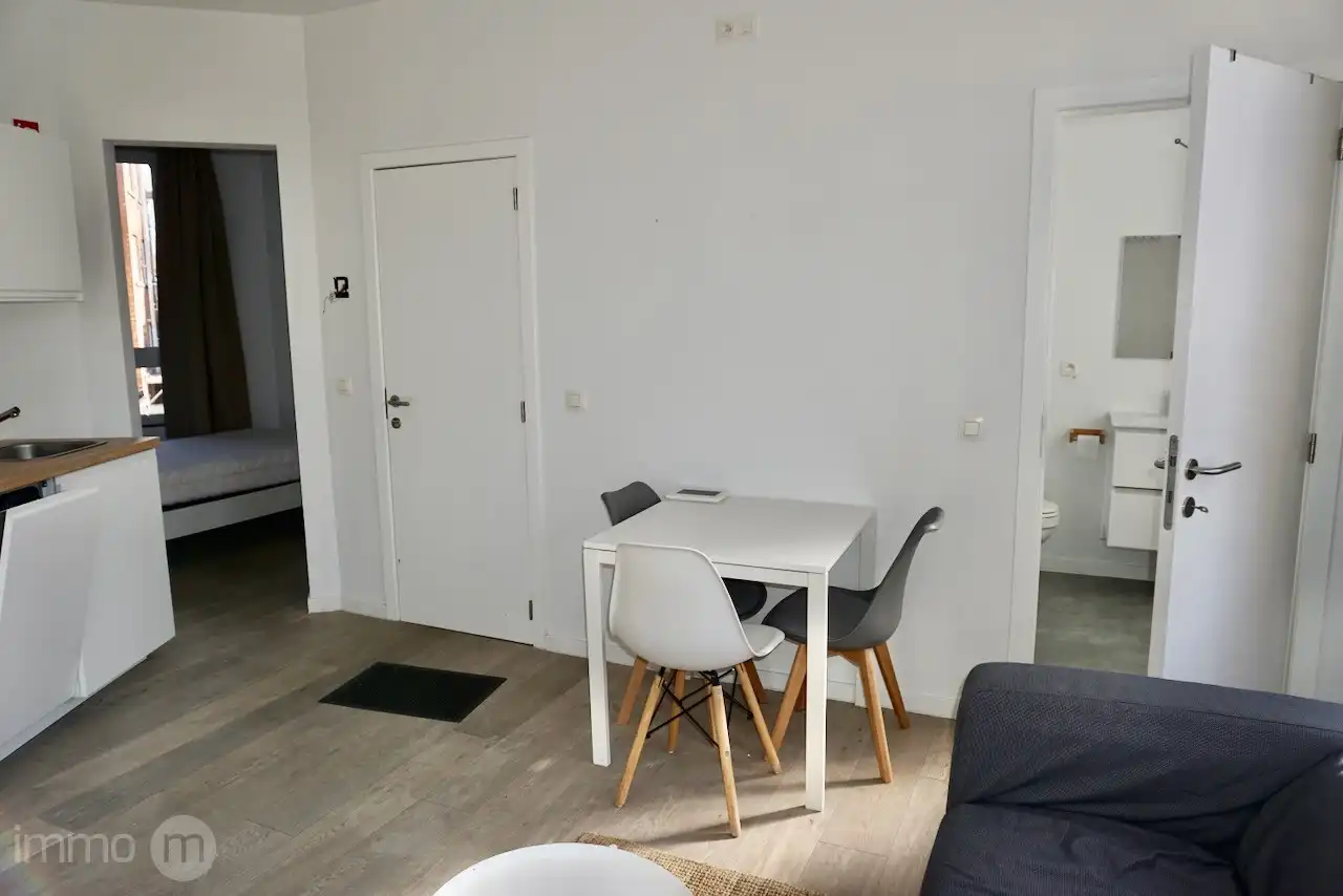 Gemeubelde studio 32m2 met aparte slaapkamer en open uitzicht – Tervuursevest Leuven foto 8
