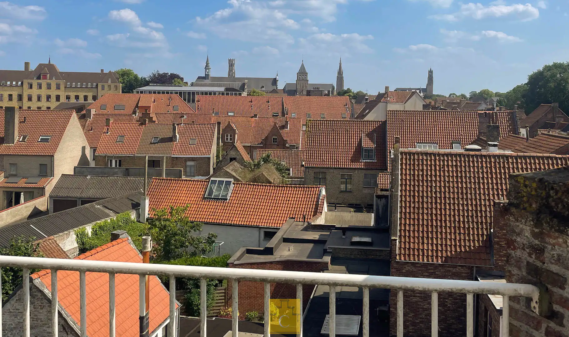 Eclectisch Burgershuis uit het begin van de 20e eeuw — een beschermd monument met karakter en uitstraling. foto 23