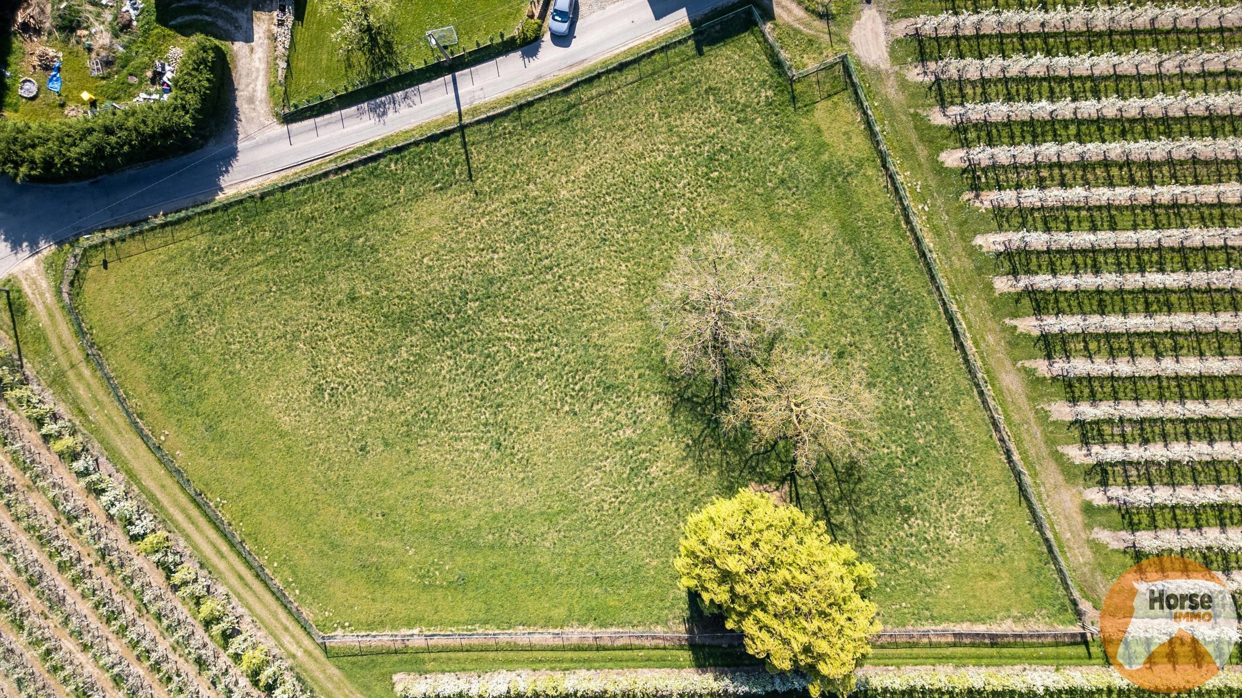 Meensel Kiezegem - Omheinde weide van 40a foto 2