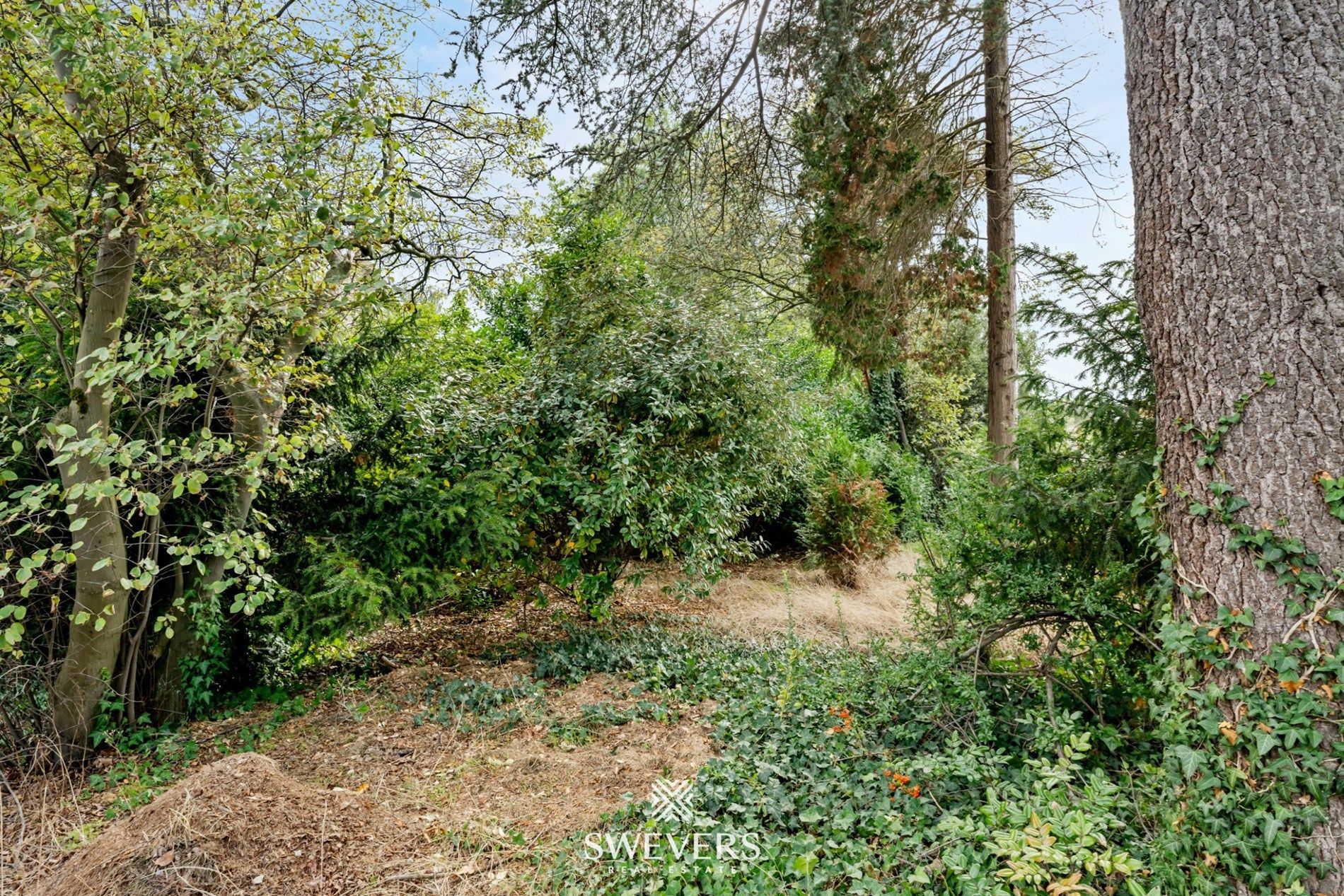 Karaktervolle woning met 3 slaapkamers vlakbij centrum Zonhoven foto 38