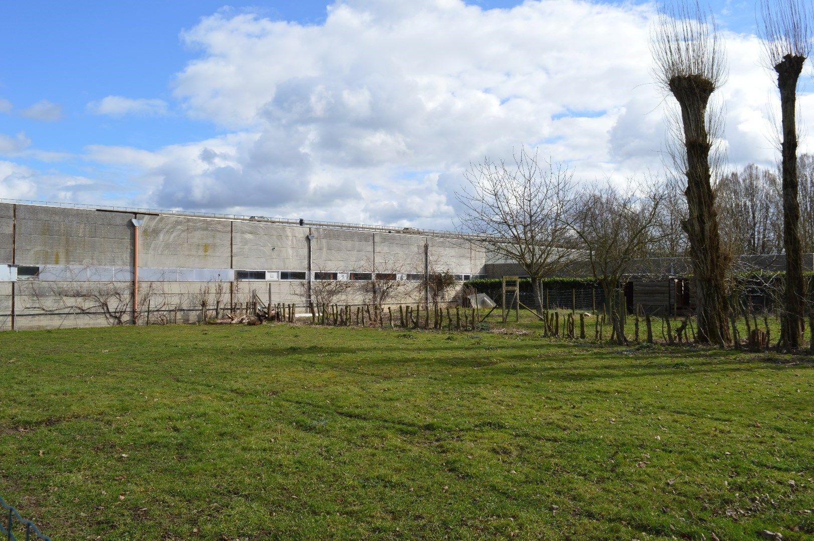 Ruime gelijkvloerse villa in een oase van groen en goeie bereikbaarheid foto 16