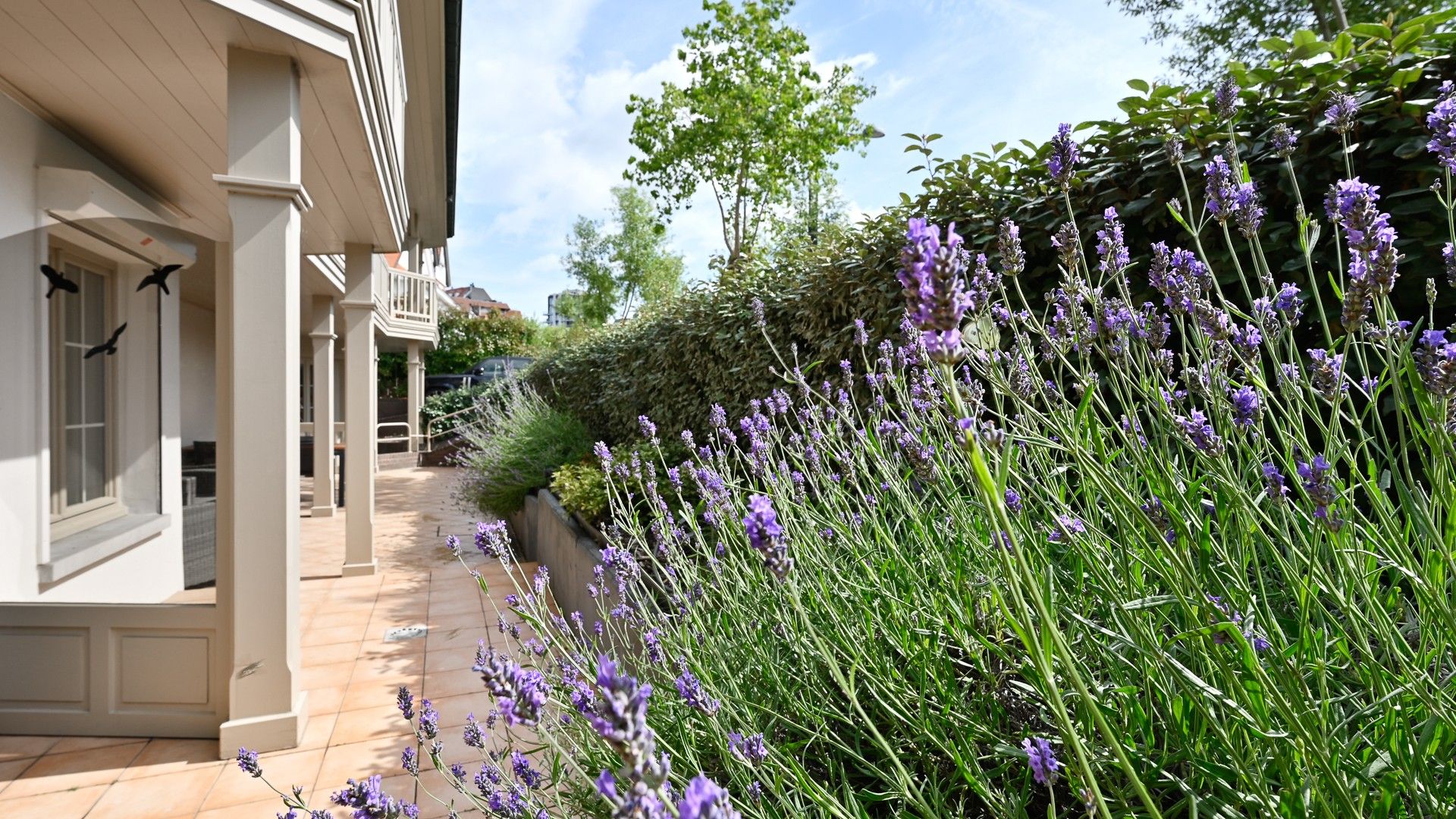 Heel ruim appartement van 165m² in de villaresidentie Elysée vlakbij het strand en het Albertplein, hartje Zoute. foto 28
