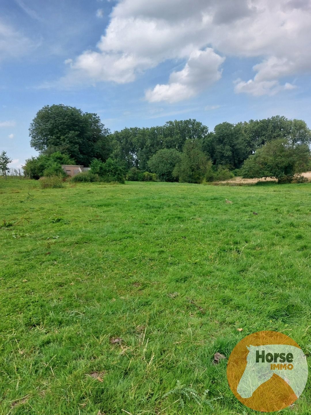 TONGEREN - Weide op +/- 1,5 ha foto 5