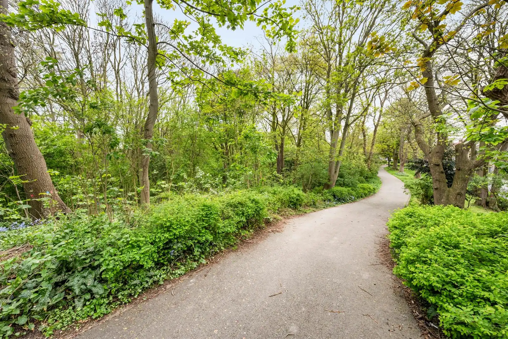 Eenslaapkamer appartement met berging foto 18