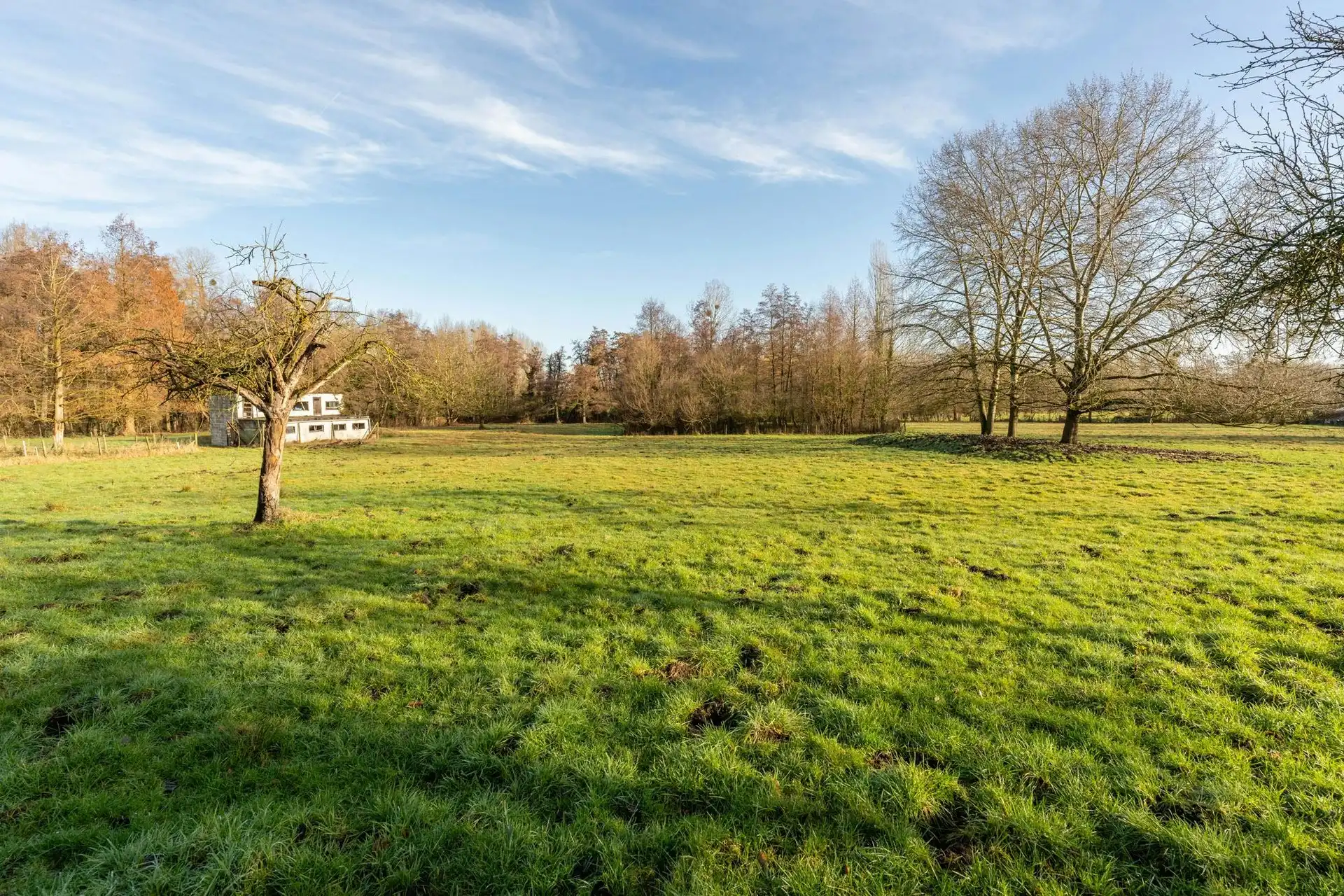Karaktervolle architectenvilla op uitzonderlijk domein in Diepenbeek foto 21