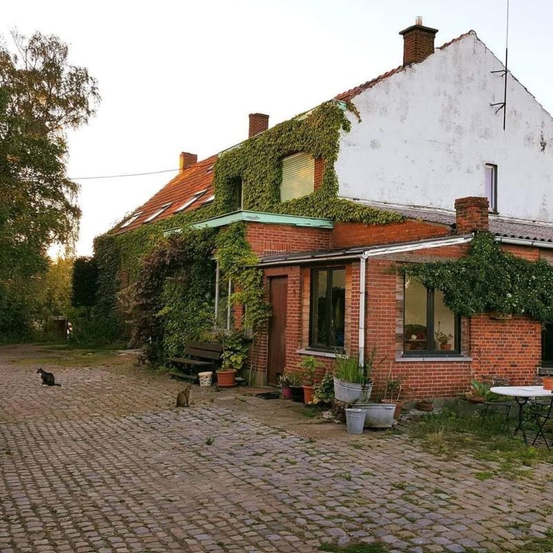 In dorpskern gelegen hoeve te koop te Hoevenen (Stabroek) foto 3