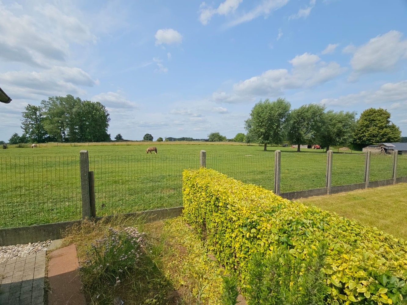 Volledig onderkelderde villa met zongerichte tuin foto 7