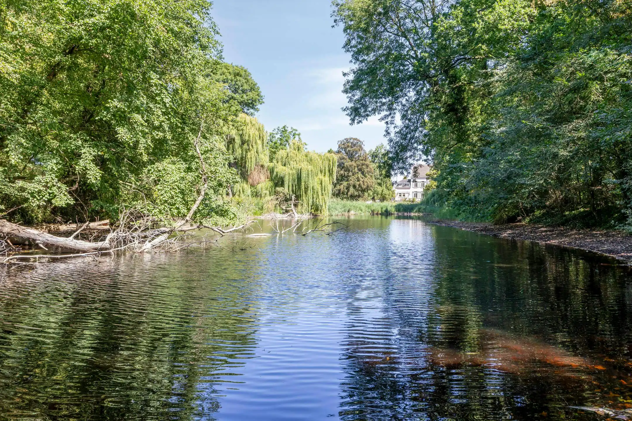 Majestueus wonen Kasteel Stoffelt te Watervliet foto 37
