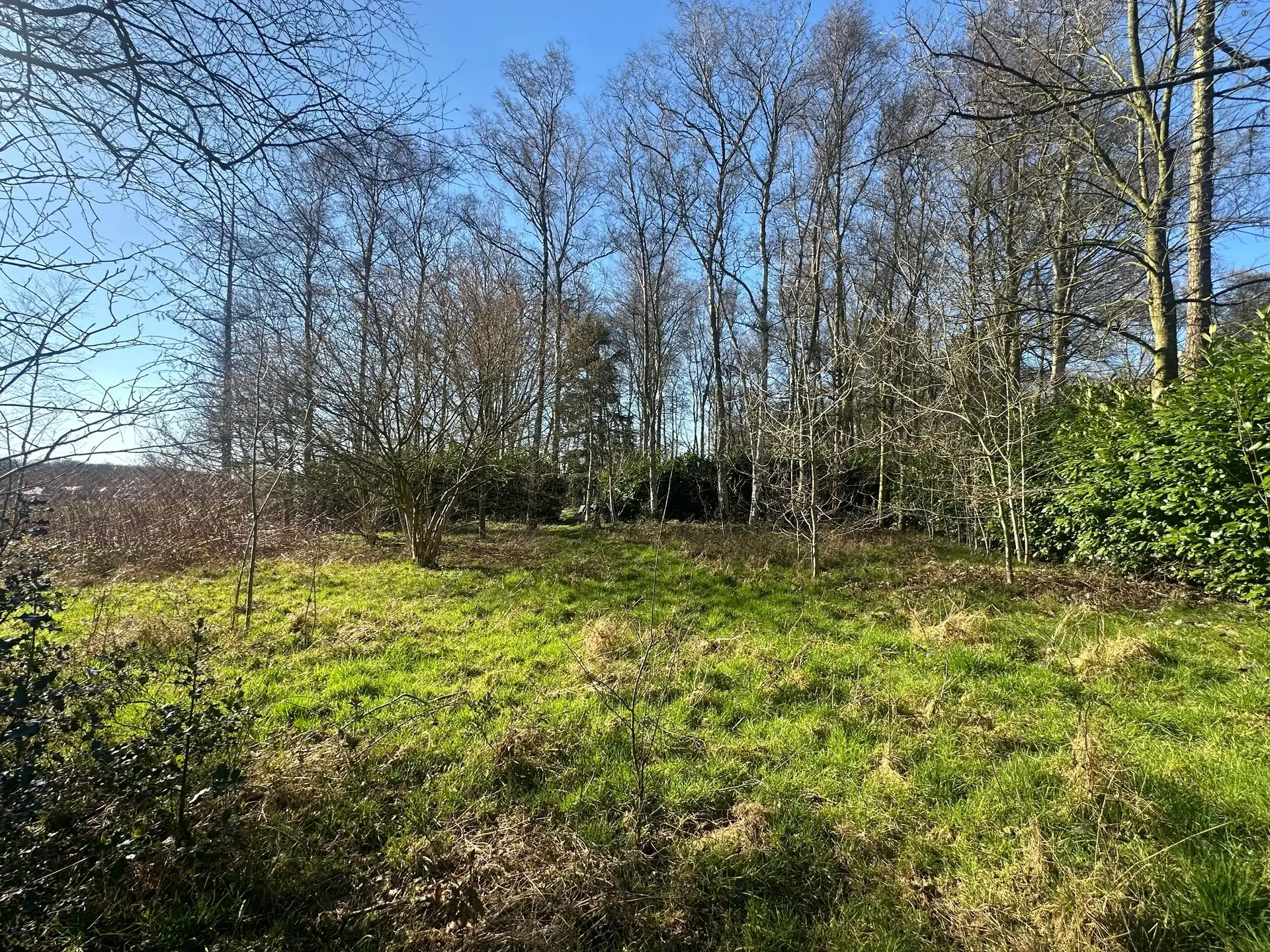 Recreatiegrond van 1.163 m² op rustige ligging te Stekene foto 4