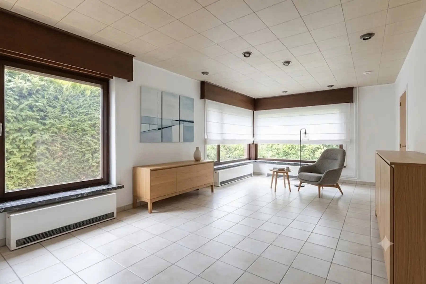 Ruime open bebouwing met tal van mogelijkheden - 208 m² foto 3