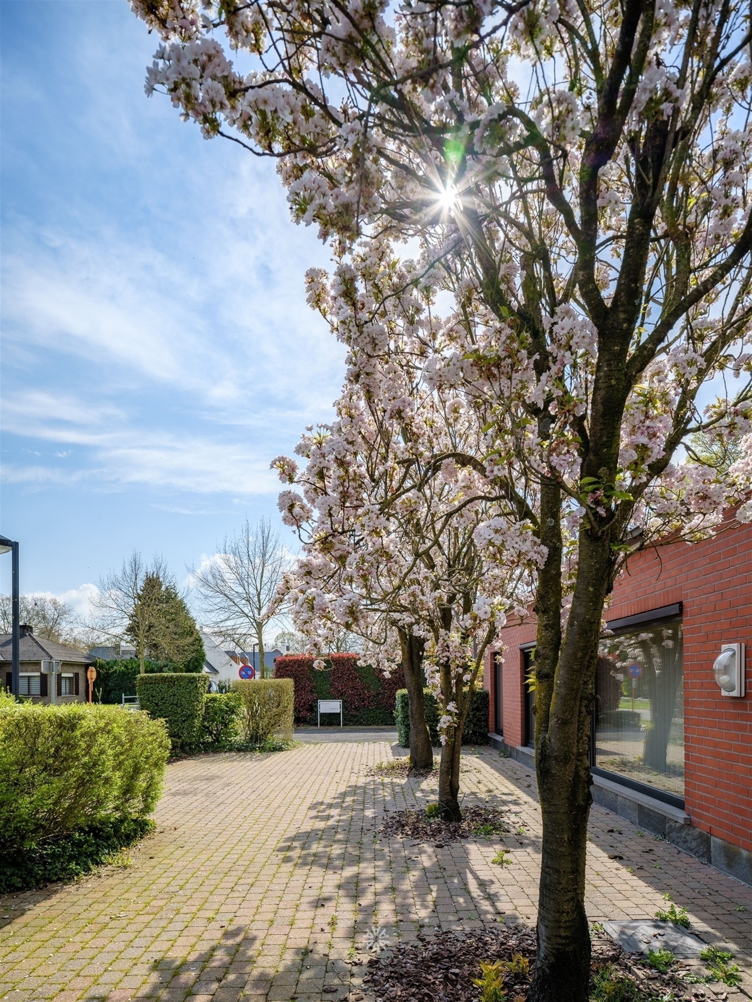 Zeer ruime woning TE KOOP in gegeerde wijk te Lovendegem foto 5