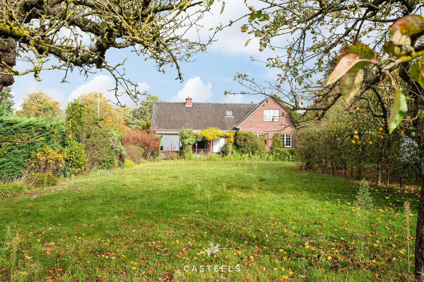 Te renoveren woning op perceel van 5.643m² in Kruisem te koop foto 5