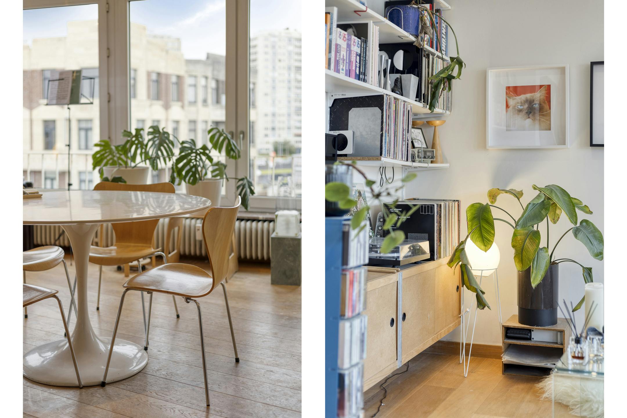 Lichtrijk dakappartement te koop in 2020 Antwerpen Kiel  foto 4