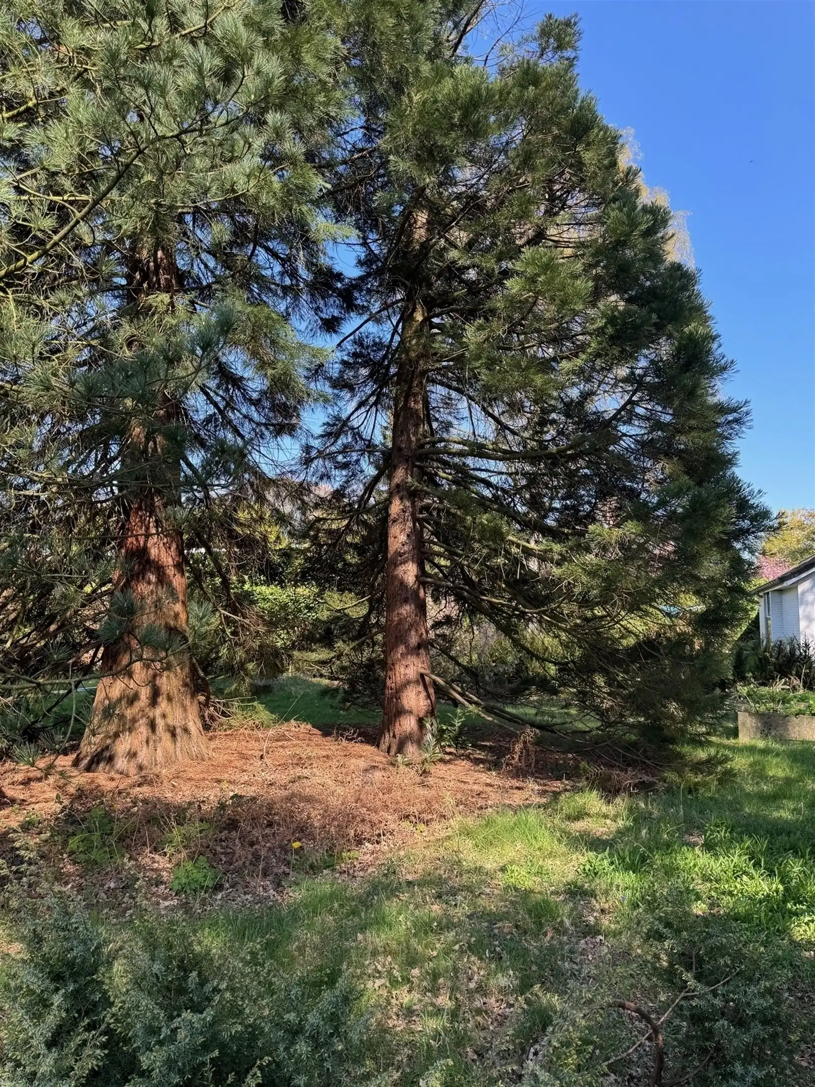 Stijlvolle nieuwbouwvilla op ruim perceel in groene Sint-Lucaswijk  foto 10