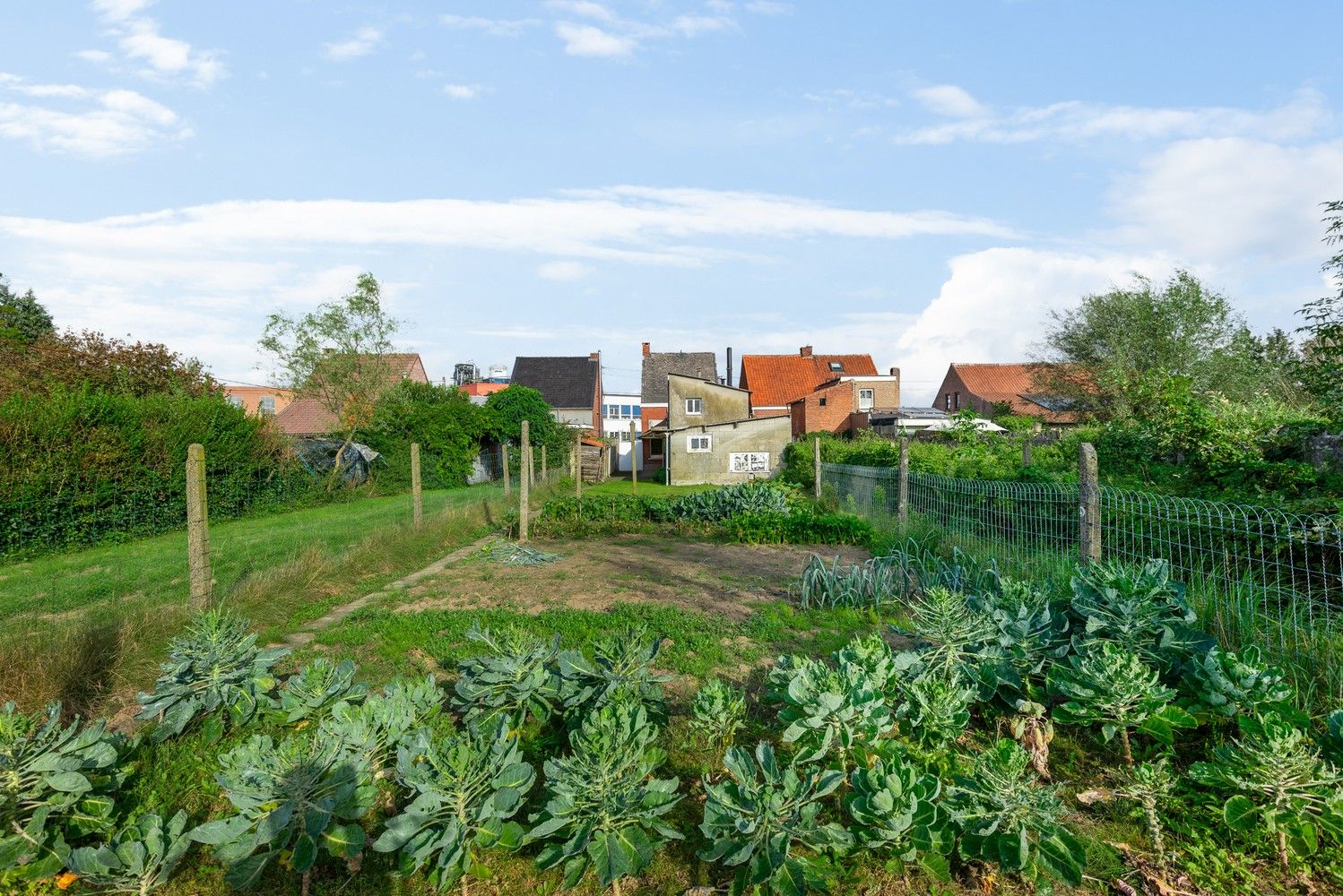 Te renoveren woning met tuin en 2 slaapkamers te koop in Oelegem foto 17