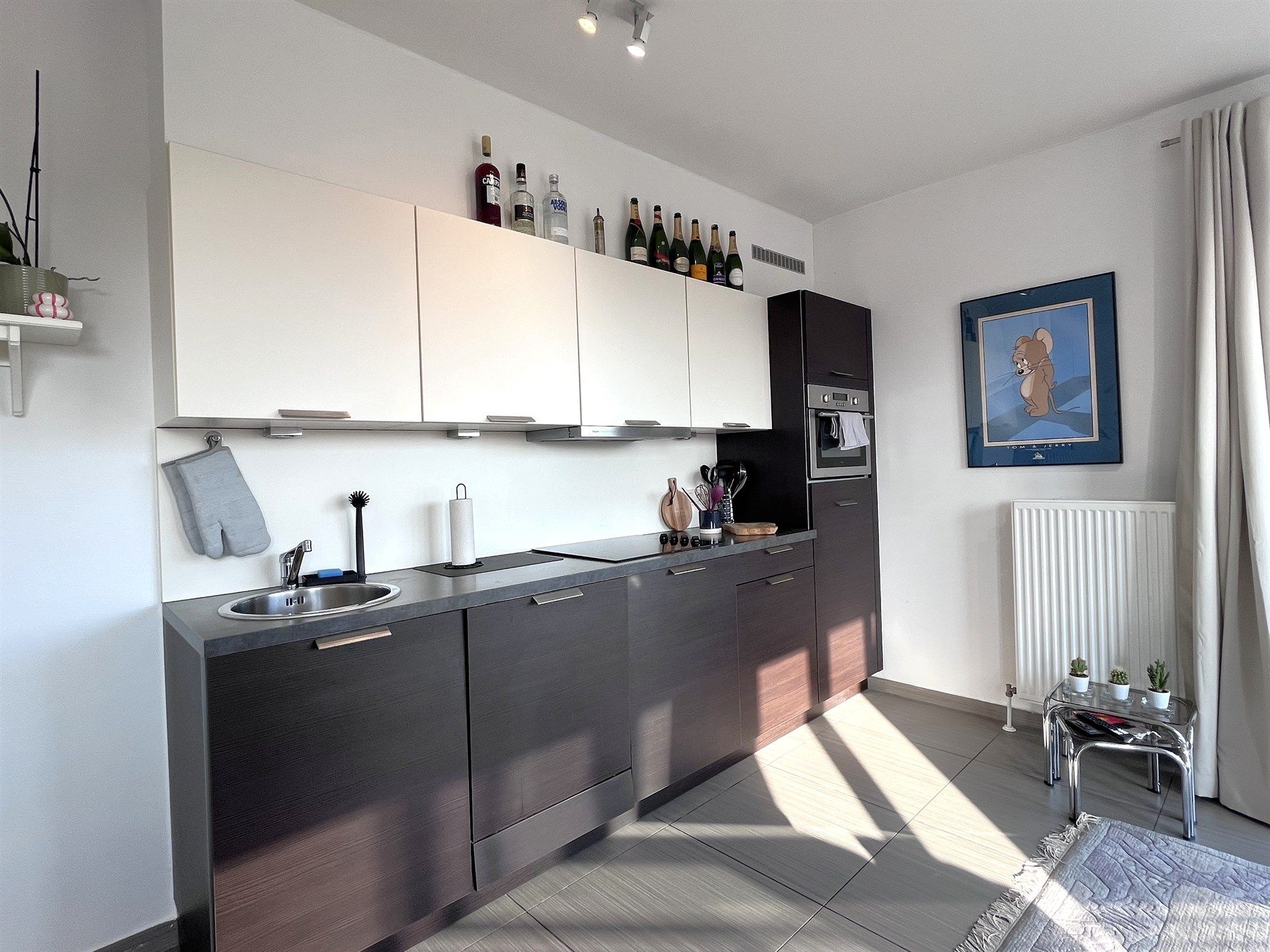 Instapklaar 1slpk-appartement met wijds uitzicht foto 3