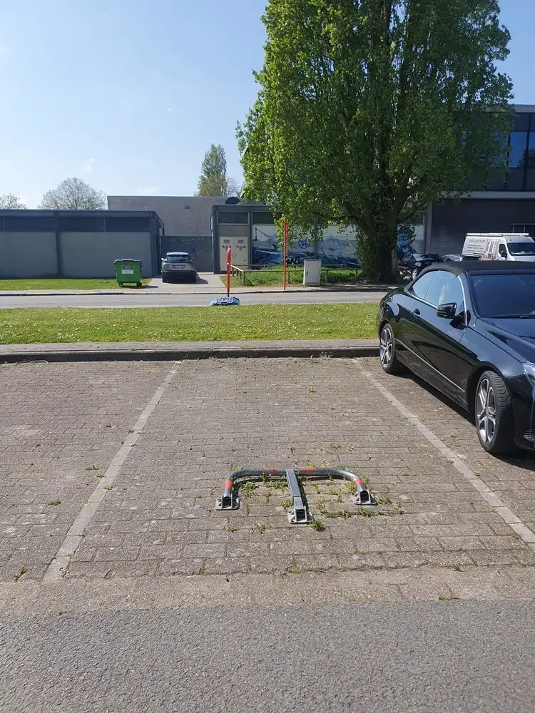 ZINNIALAAN STPL 16 foto 2