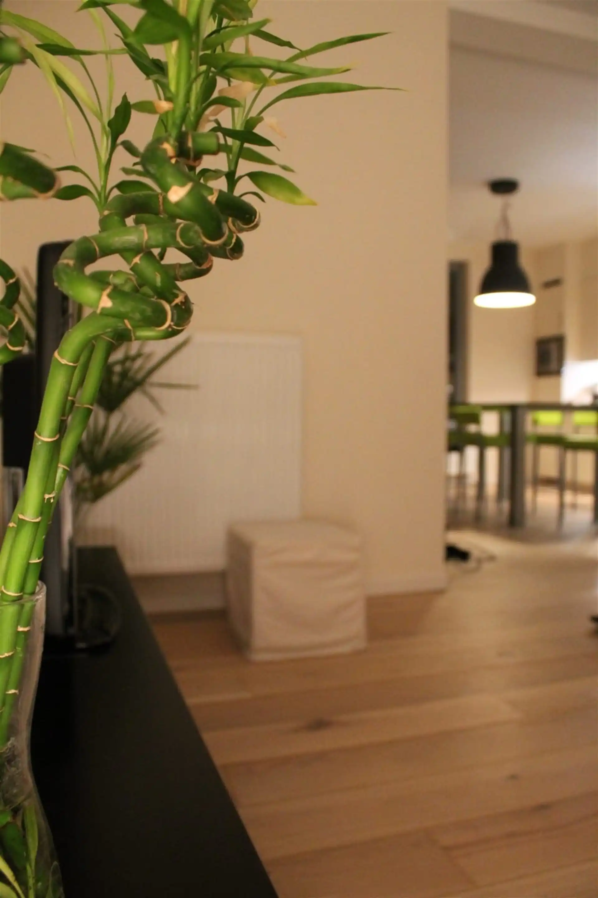 Verrassend ruim gelegen appartment met zicht op het water.  foto 9