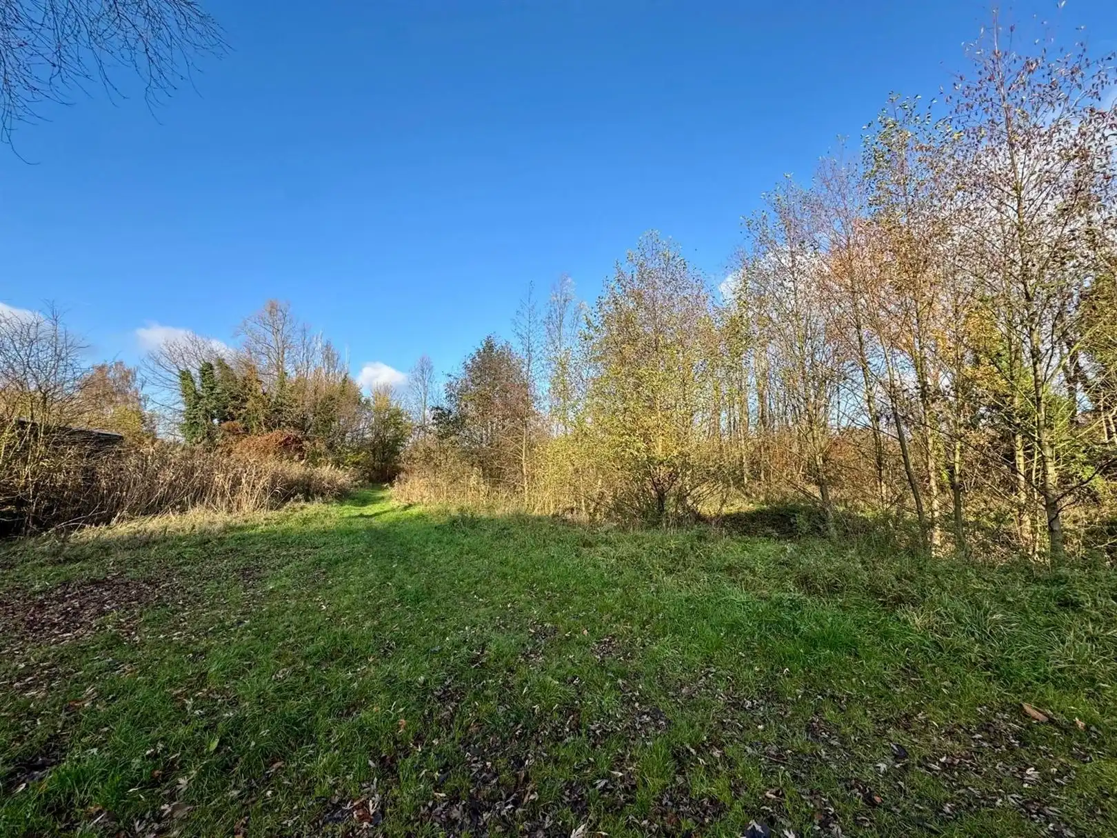 Te renoveren hoekwoning met uitbreidingspotentie foto 26