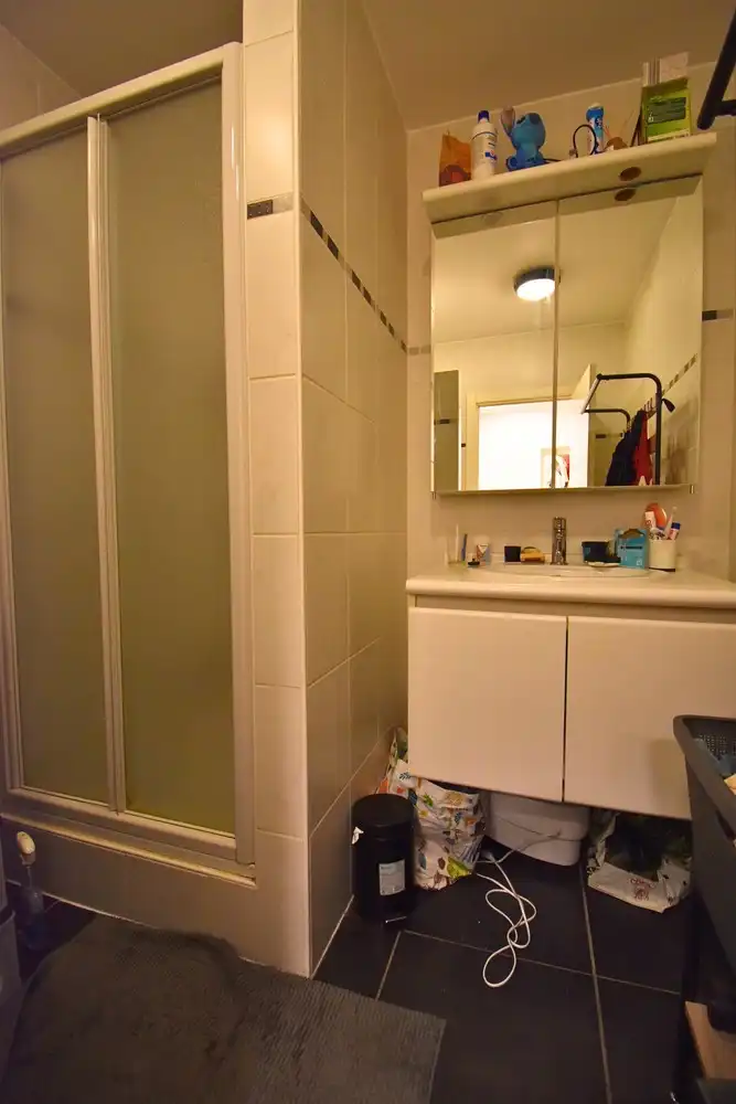 Appartement met 2 slaapkamers, garage en gemeenschappelijke tuin te huur in Sint-Pieters-Leeuw foto 7