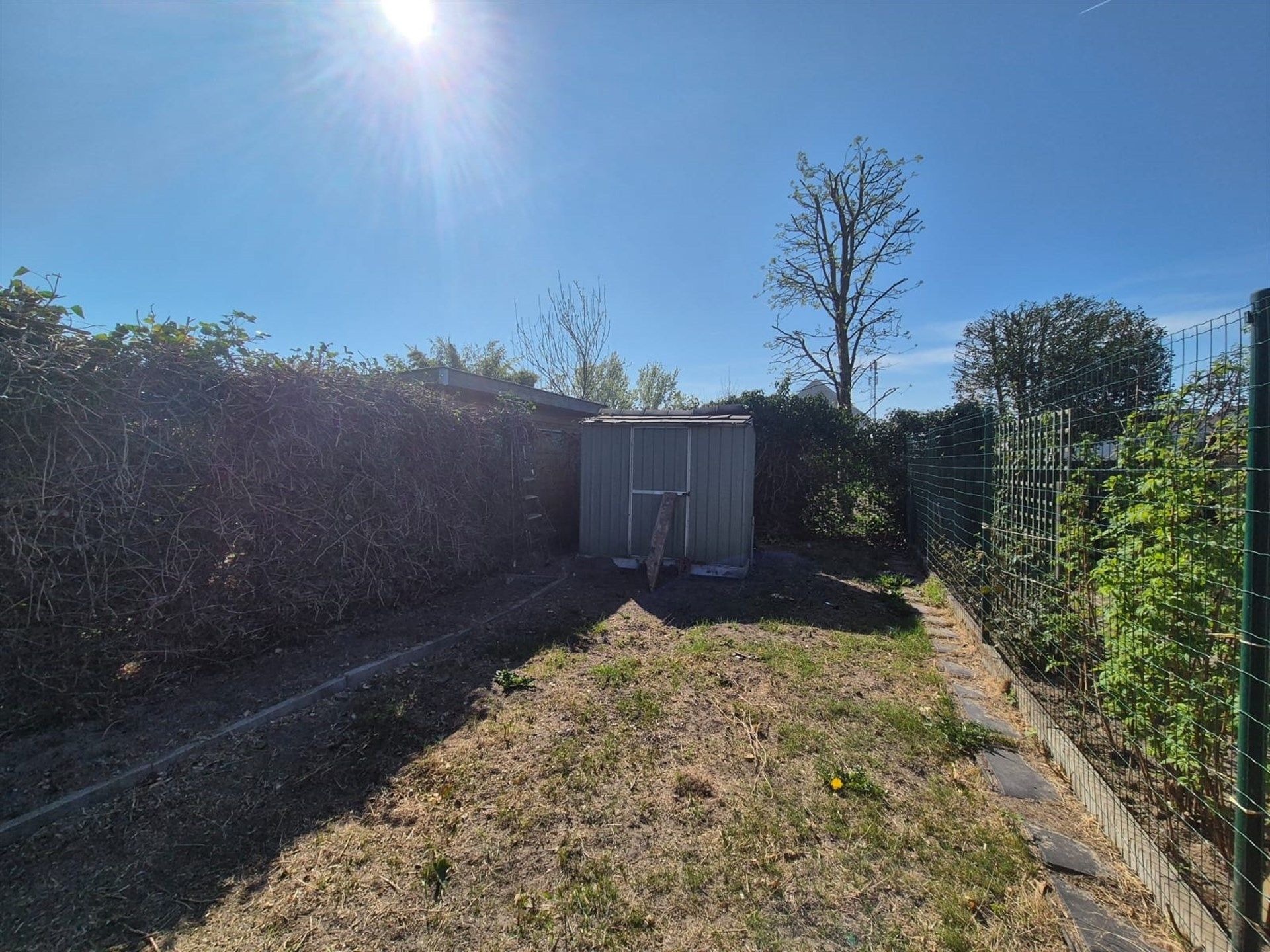 Gezellige woning met grote tuin in Wetteren.  foto 10