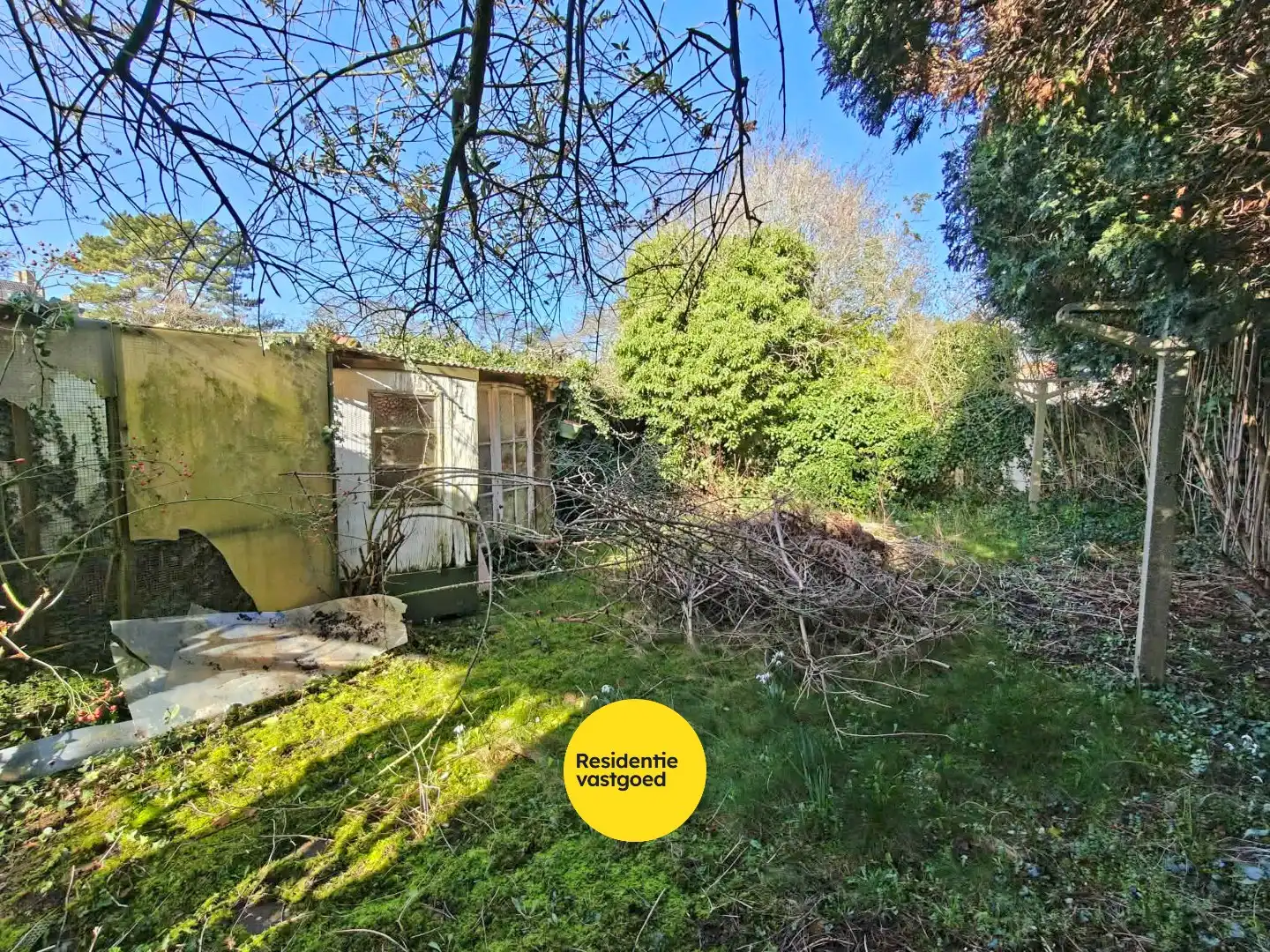 KIJKDAG ZATERDAG 28/03 VAN 10U TOT 12U! foto 2