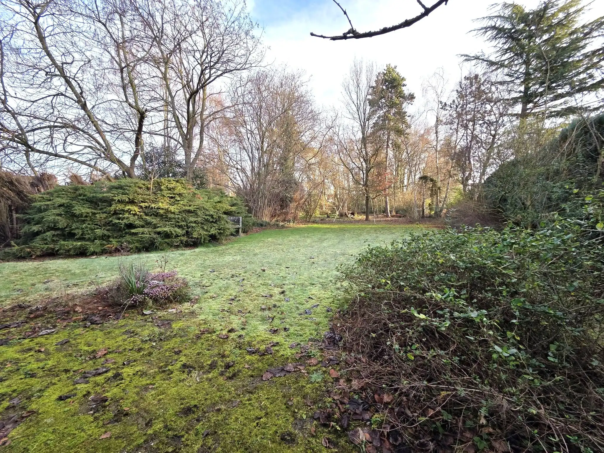 Bungalow...te renoveren... foto 15