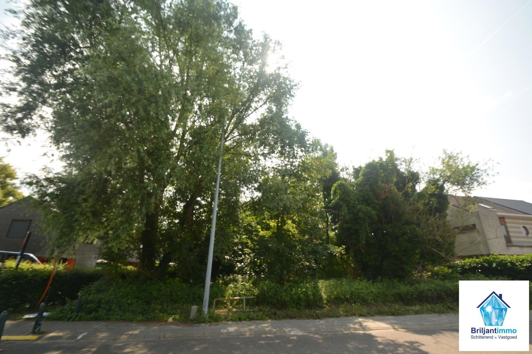 Bouwgrond voor halfopen bebouwing op toplocatie in Zemst foto 2