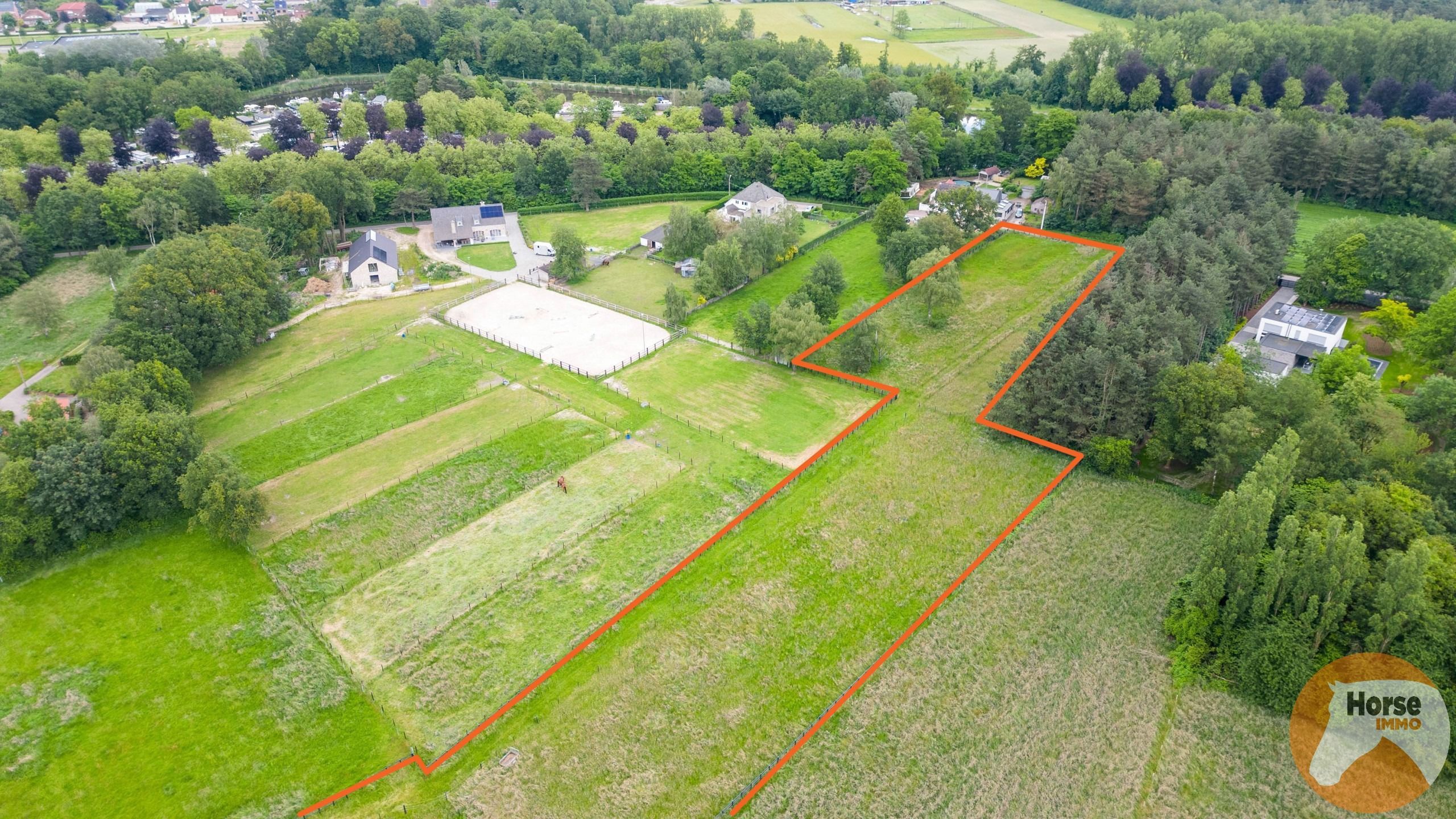 NEEROETEREN - Woning met paardenstallen op +/- 1ha70 foto 29