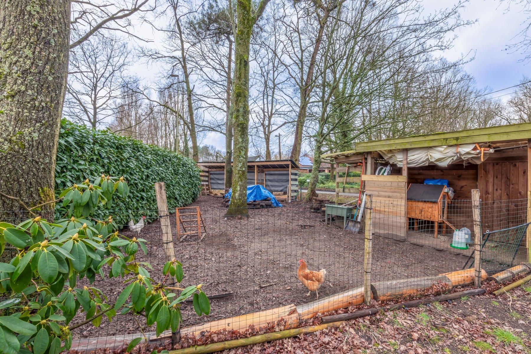 Rustig gelegen ruime villa met aangename tuin foto 20