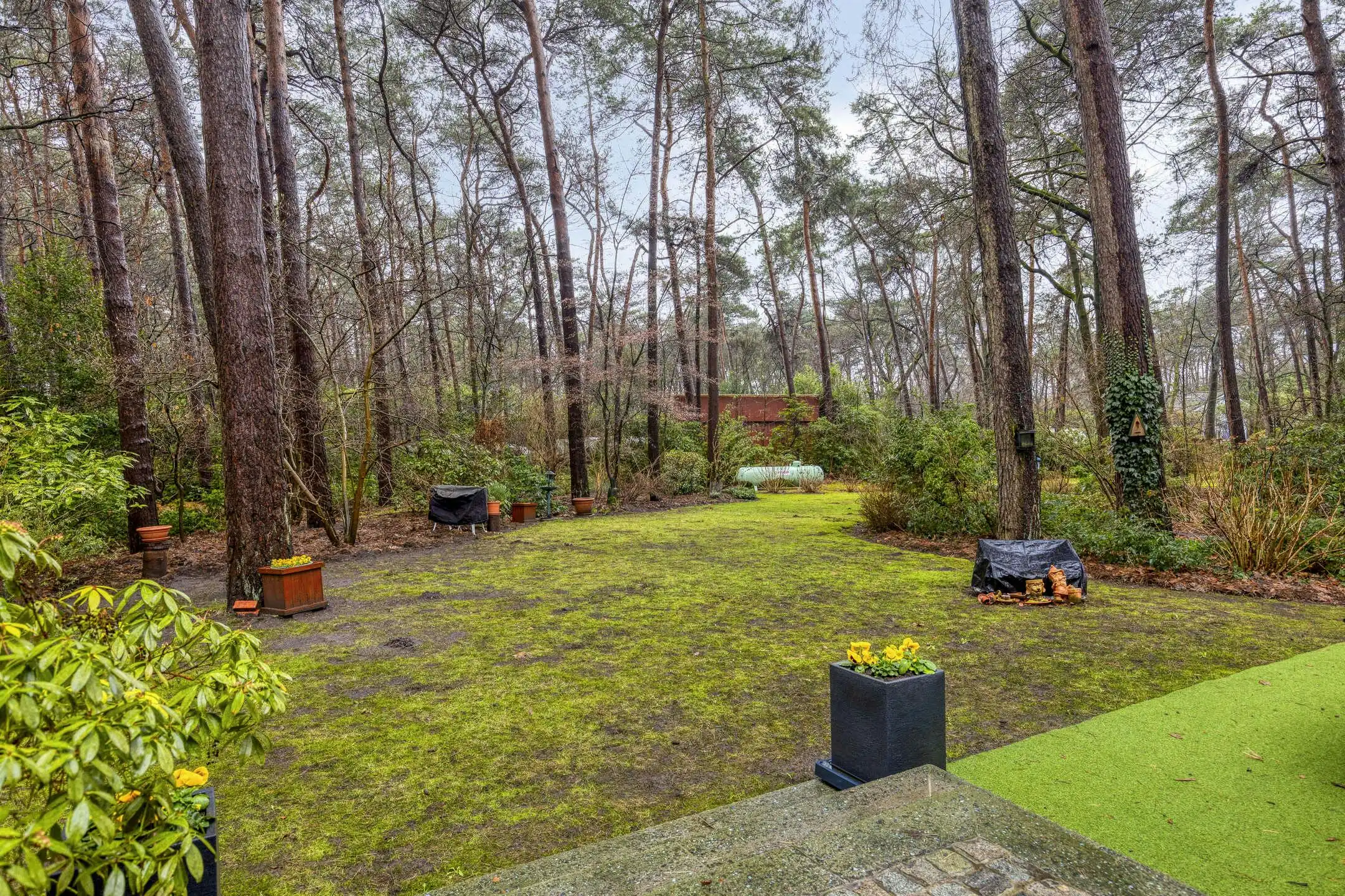 Verzorgde woning op prachtige bosgrond te koop in Wuustwezel foto 29