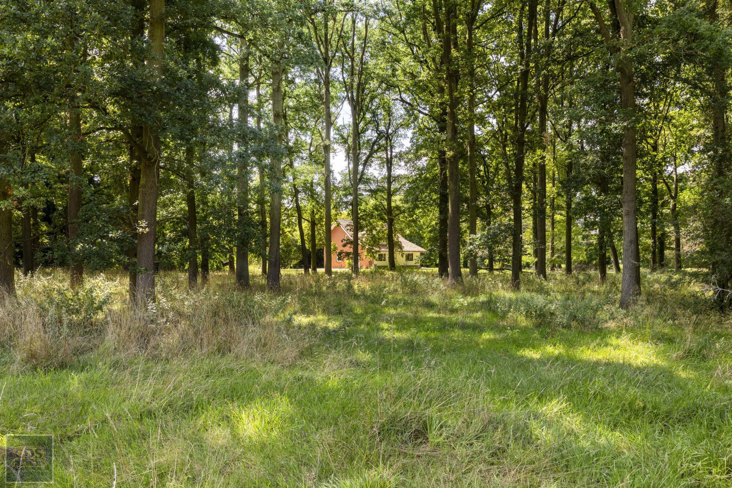 Landgoed foto 33