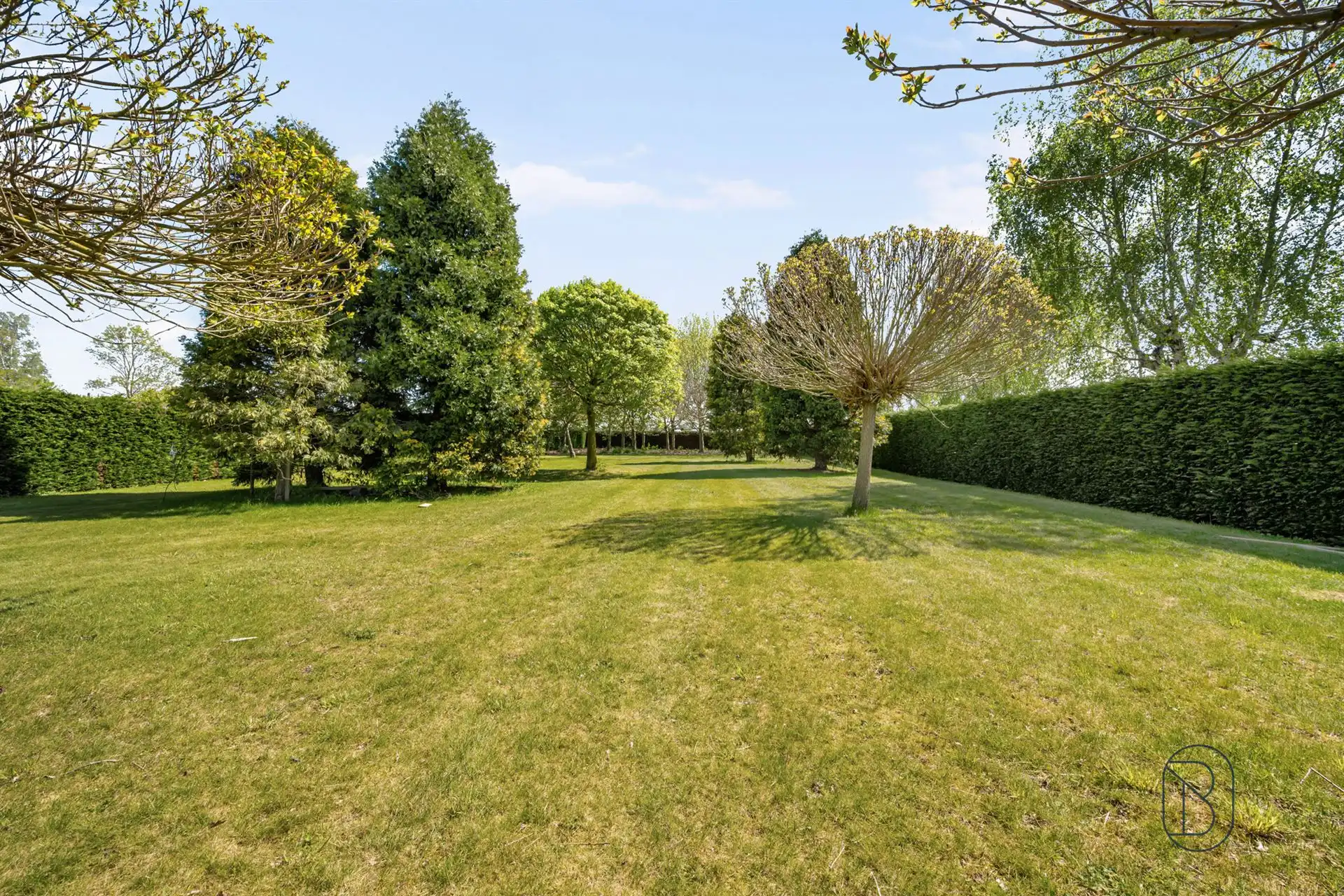 Perfect onderhouden grote villa op 3000m2. foto 4