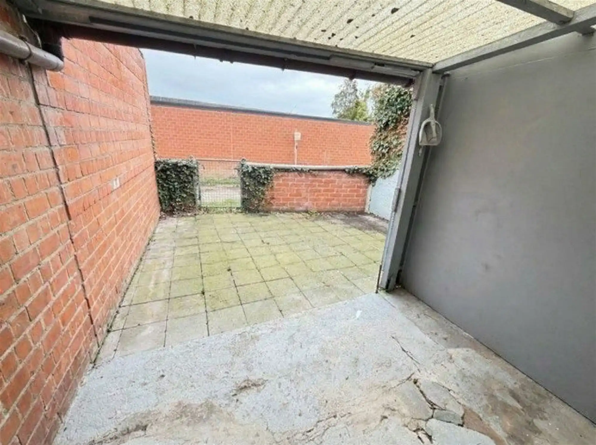 Opbrengsteigendorm foto 2