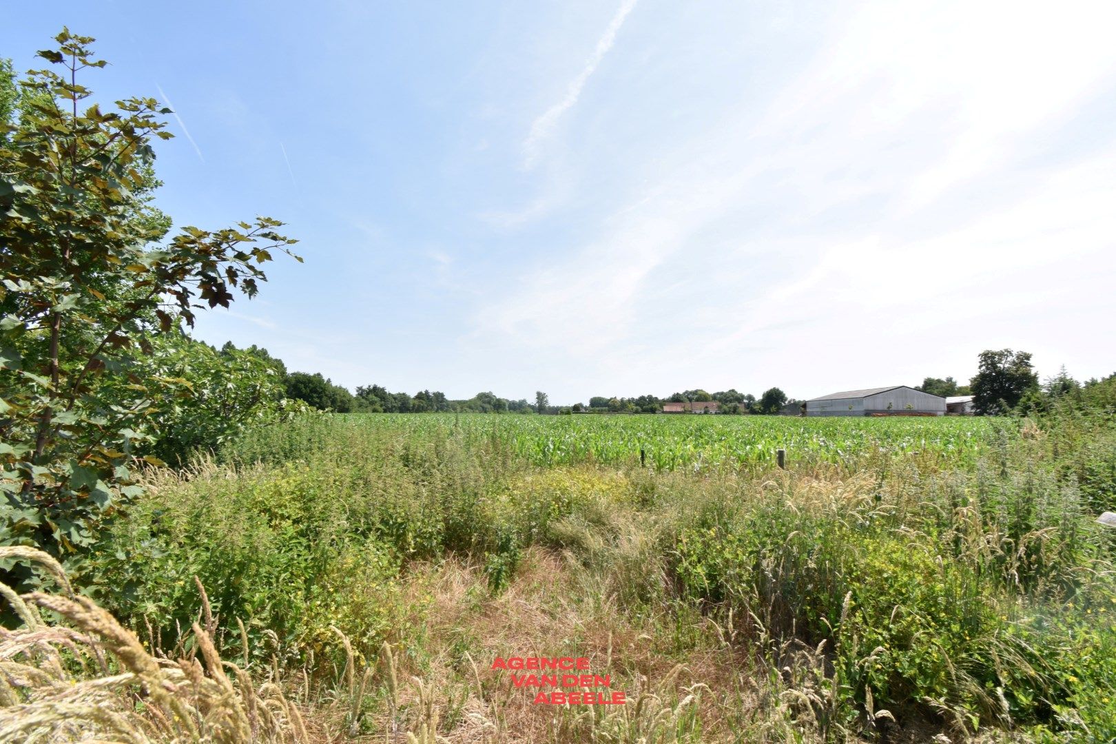 Te renoveren woning met 2 slaapkamers en fantastische tuin  foto 15