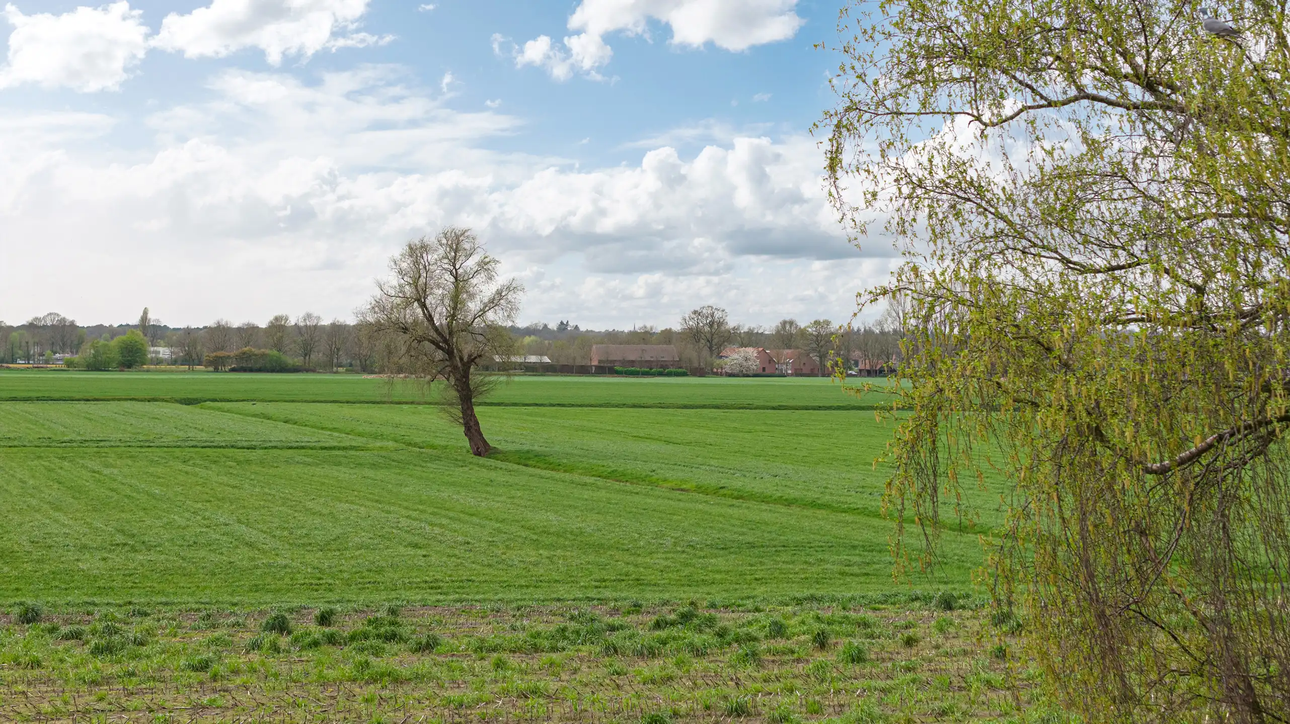 Charmante woning te Kalmthout met weids zicht foto 30