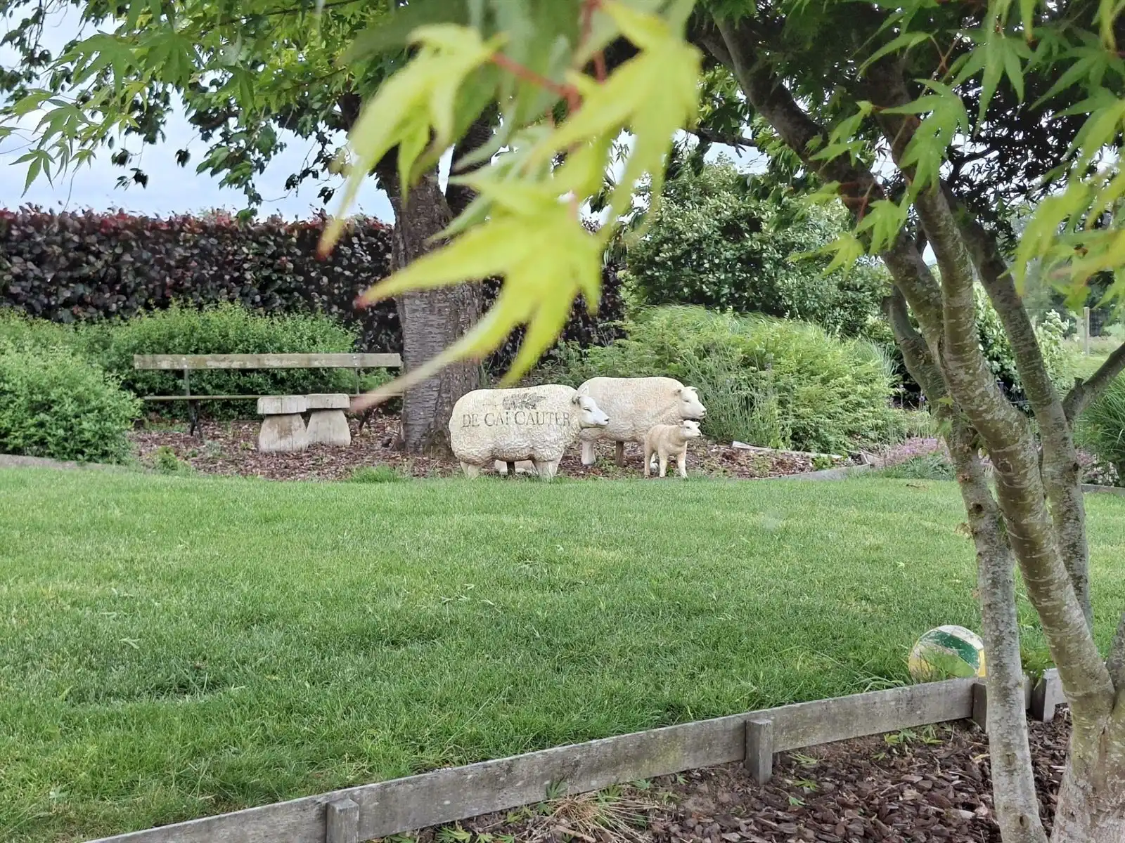 Senioren - luxe verblijf in hartje Pajottenland foto 4