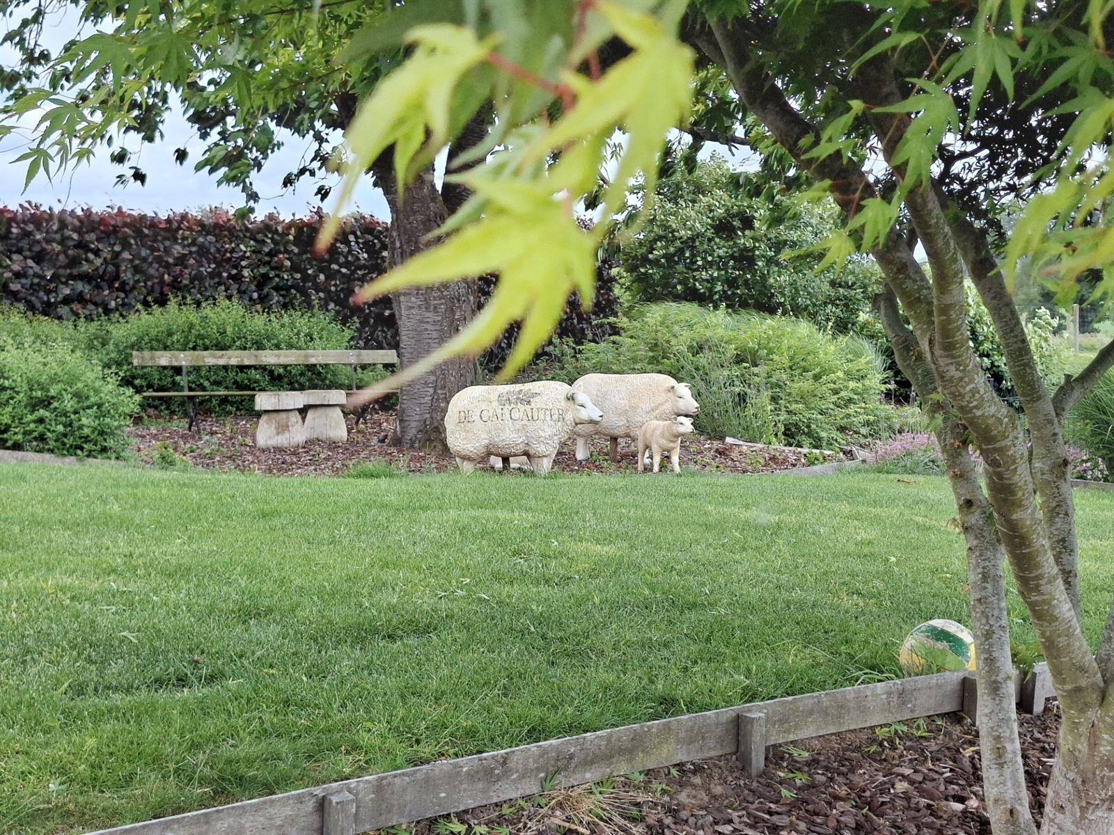 Senioren - luxe verblijf in hartje Pajottenland foto 4