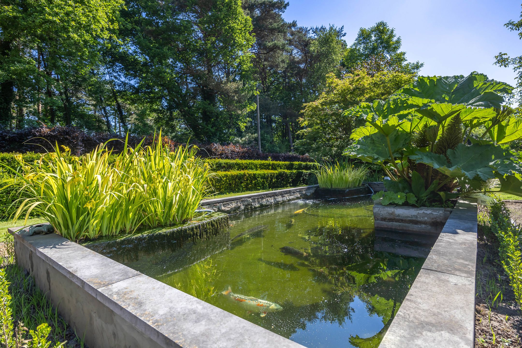 Laagbouwwoning op 2848 m² met Zwemvijver en Prachtige Tuin foto 18
