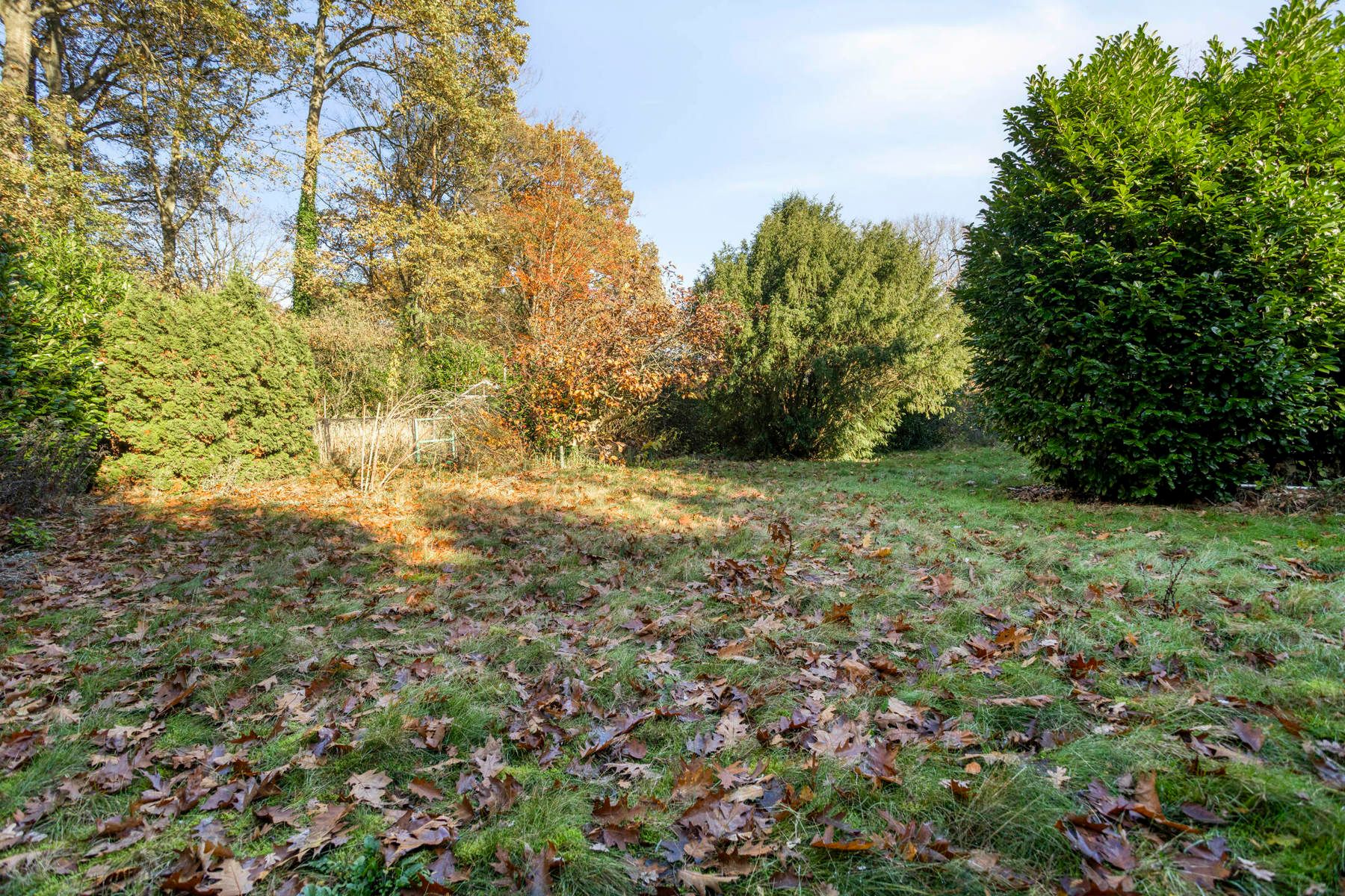 Ruime open bebouwing in Zoersel op een perceel van 2004m².  foto 33