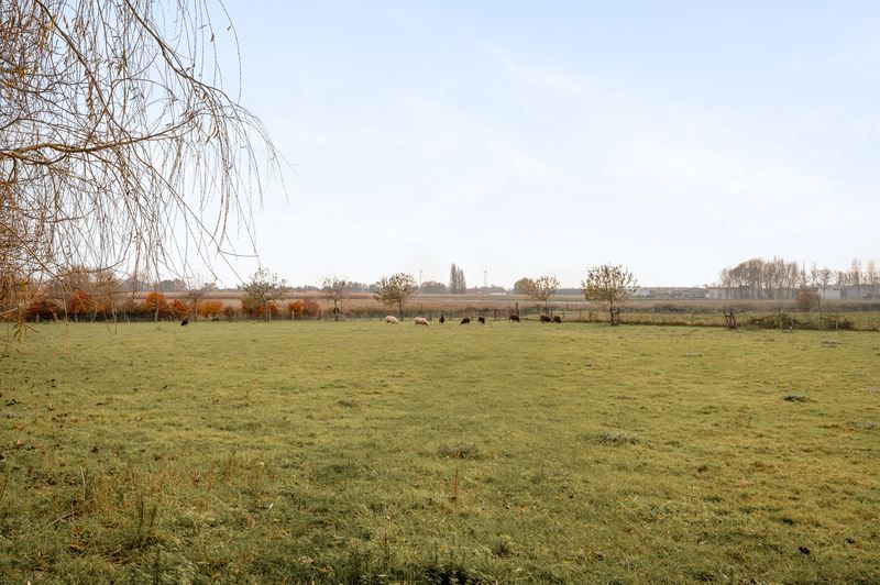 Hoeve op 2,39 ha te Geluwe foto 6