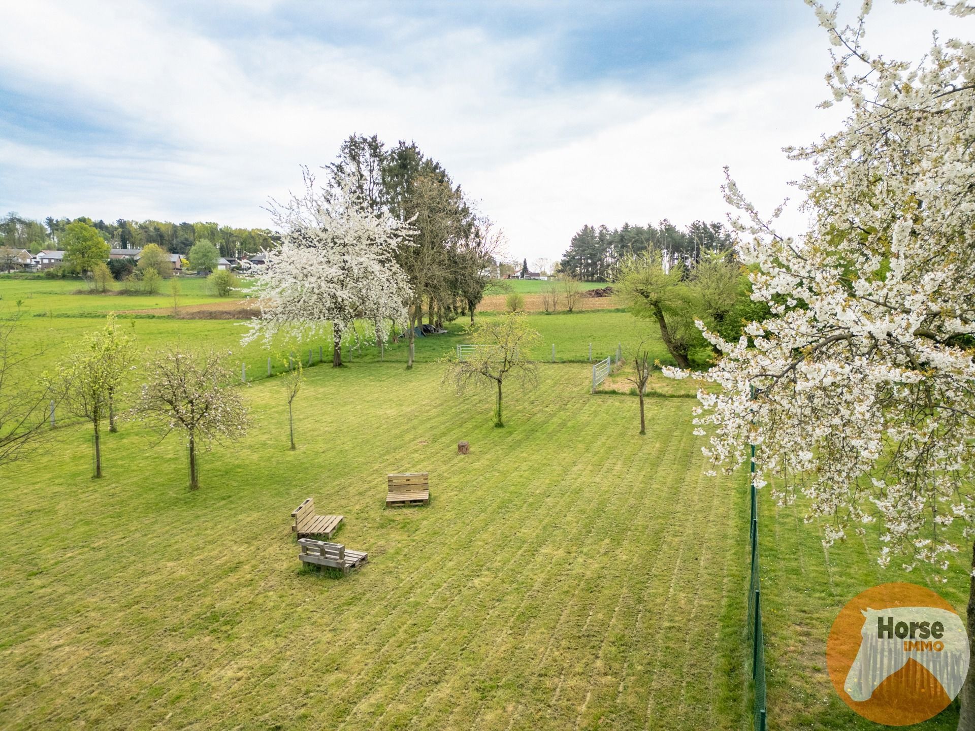 SCHERPENHEUVEL-Instapklare woning op 2ha3 en wijds zicht  foto 6