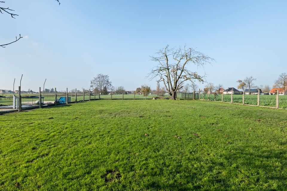 KARAKTERVOLLE WONING MET GROTE GARAGE OP EEN PRACHTIG PERCEEL VAN 13A50CA IN ALKEN foto 29