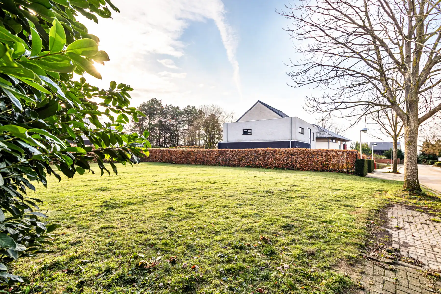 Bouwgrond voor open bebouwing op topligging te Rumst foto 4