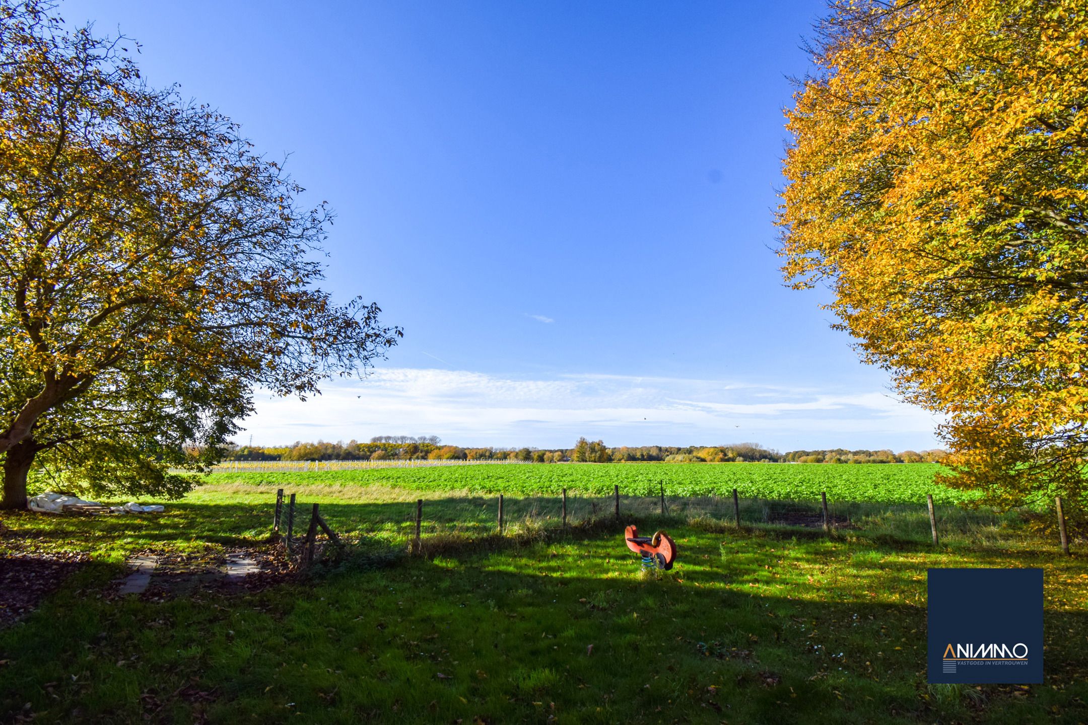 Boerderij te koop foto 4