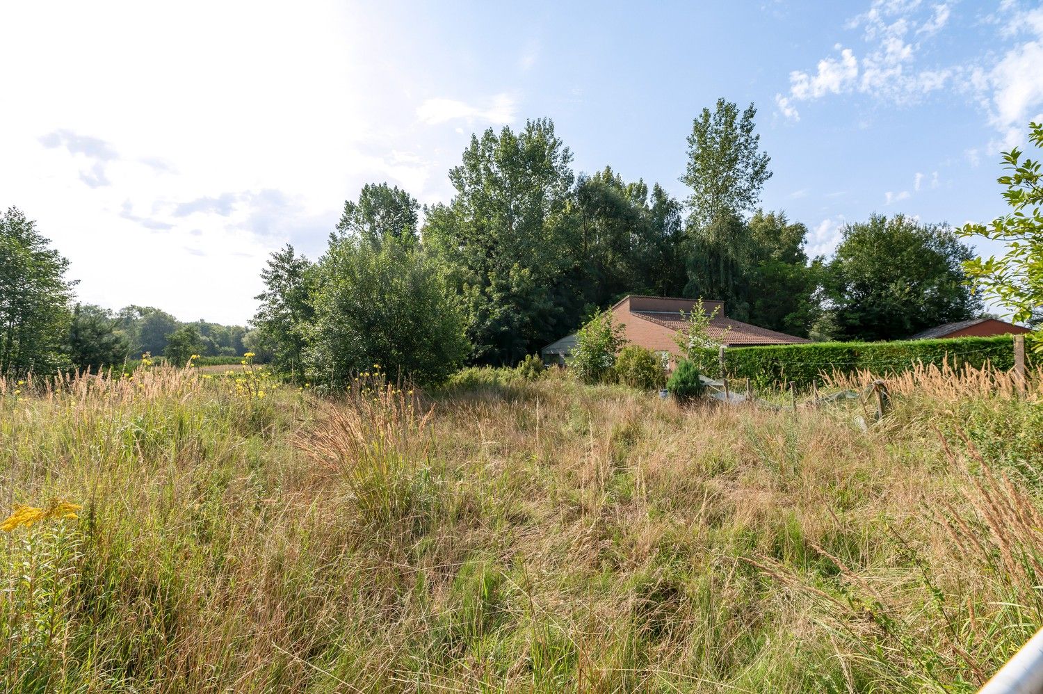 Te renoveren laagbouwwoning op ruim perceel van 1.125 m² – een buitenkans voor wie wil verbouwen! foto 28