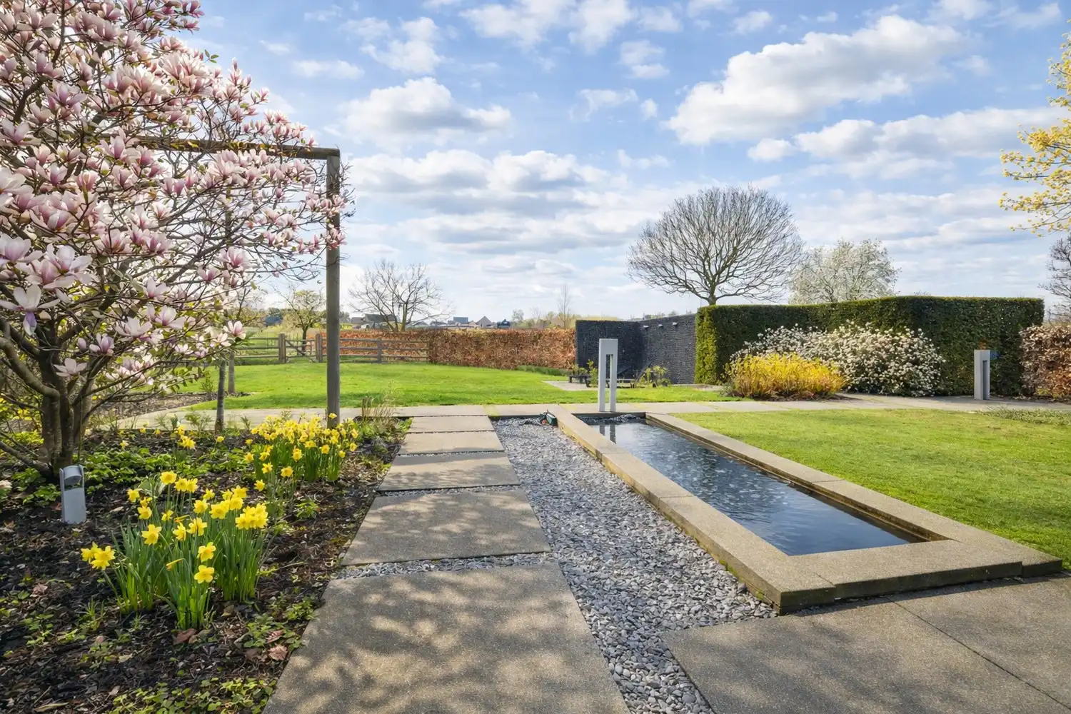 Instapklare topwoning met unieke mogelijkheden op een perceel van 11a75ca in het landelijke Neeroeteren. foto 37